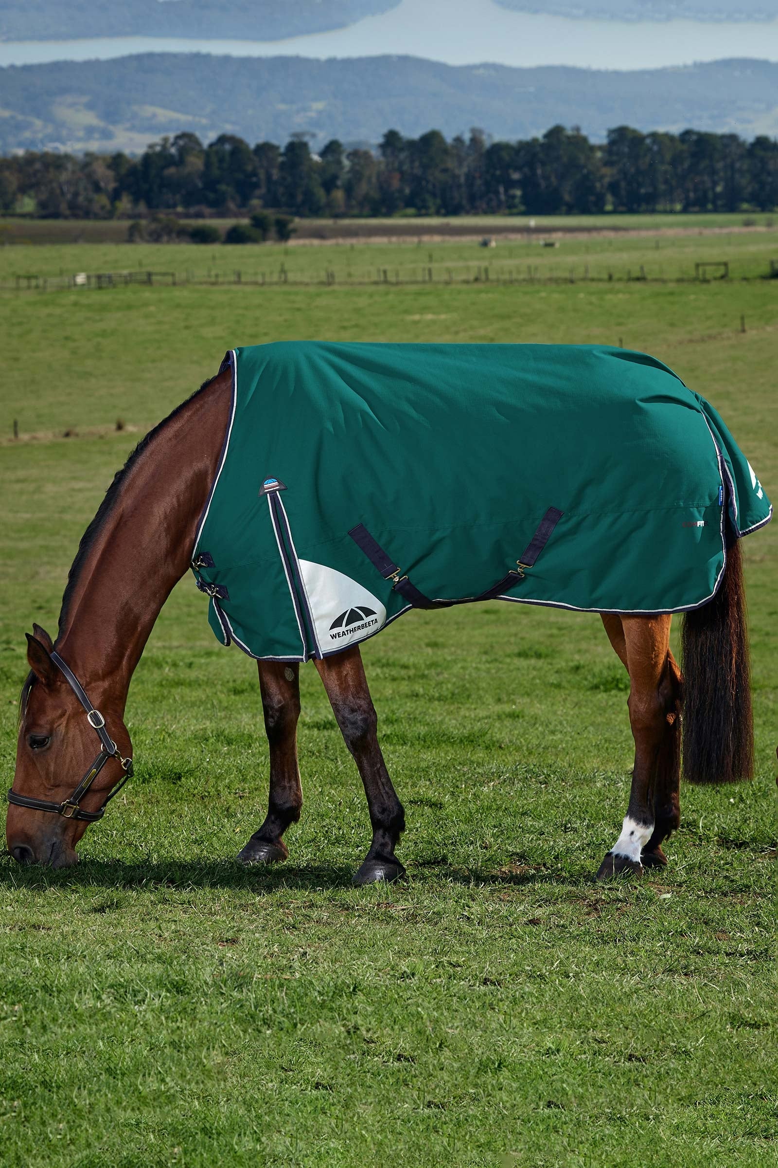 Weatherbeeta ComFiTecPlus Dynamic Turnout Standard Neck 0G Horse Rugs