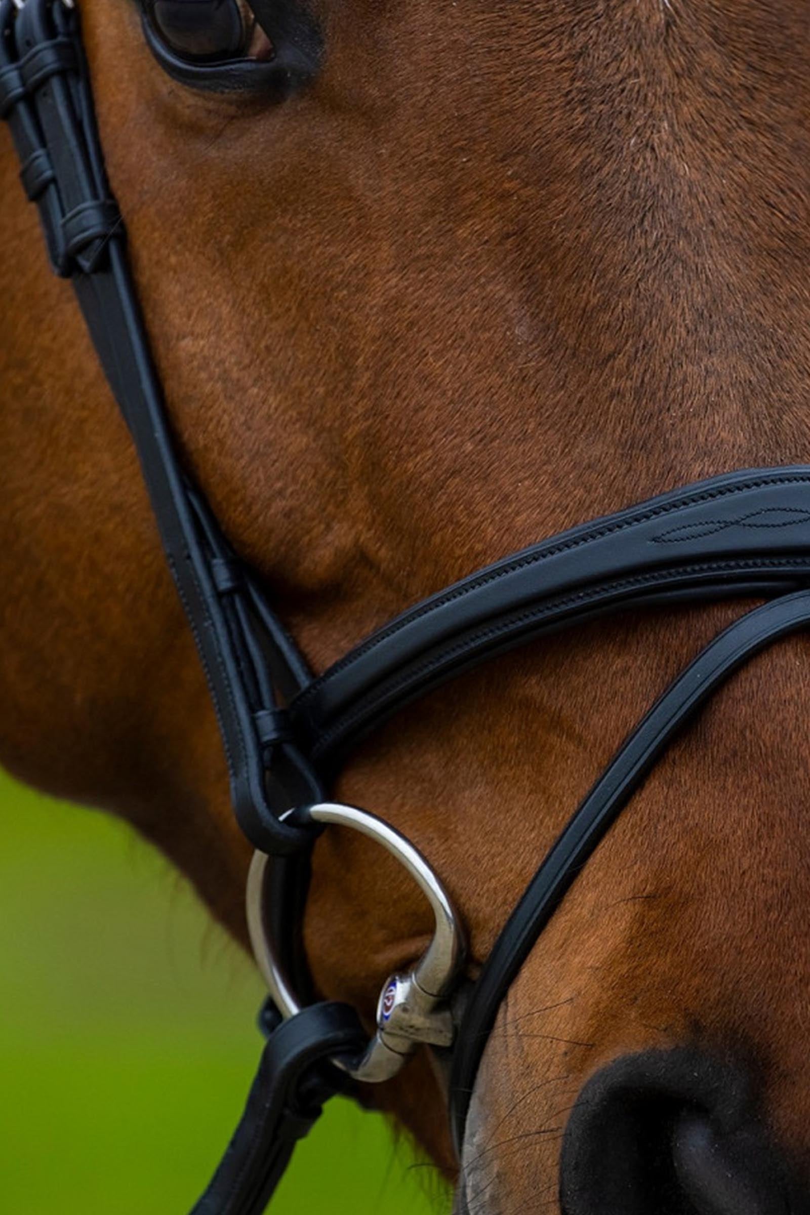 Trust Equestrian Amsterdam Combined Noseband Anatomic Bridle Bridles & Reins