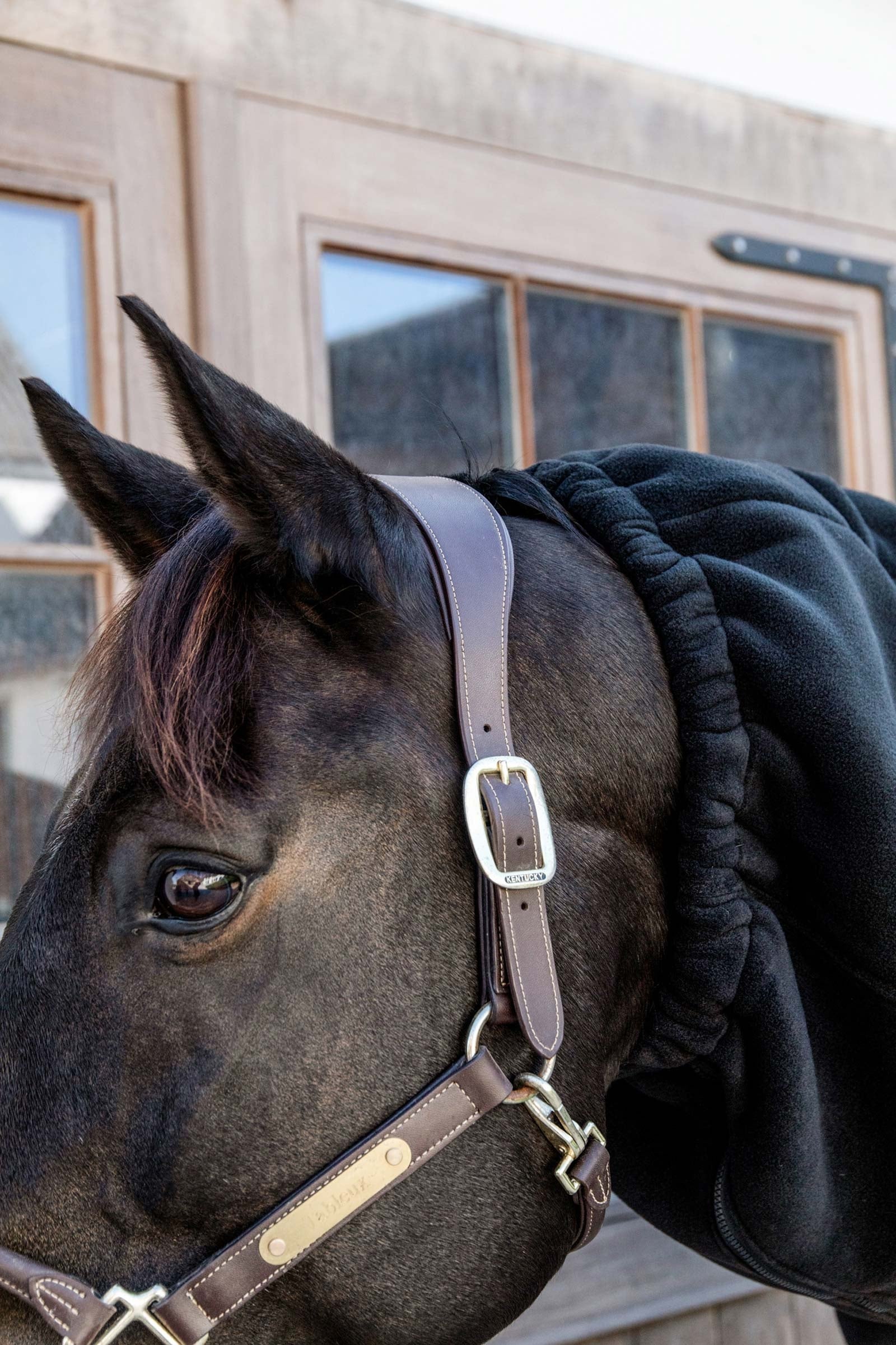 Kentucky Horsewear Heavy Fleece Horse scarf Horse Rugs