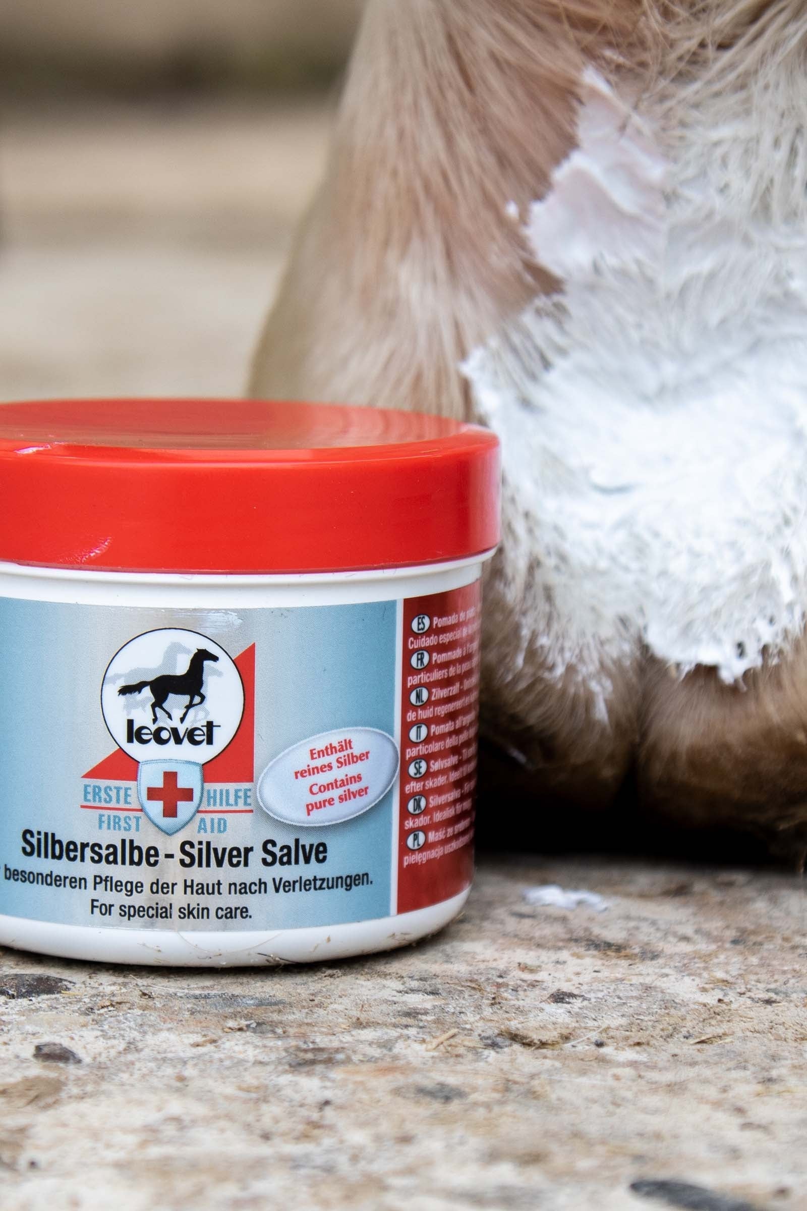 Leovet Silver Salve Horse Health Care