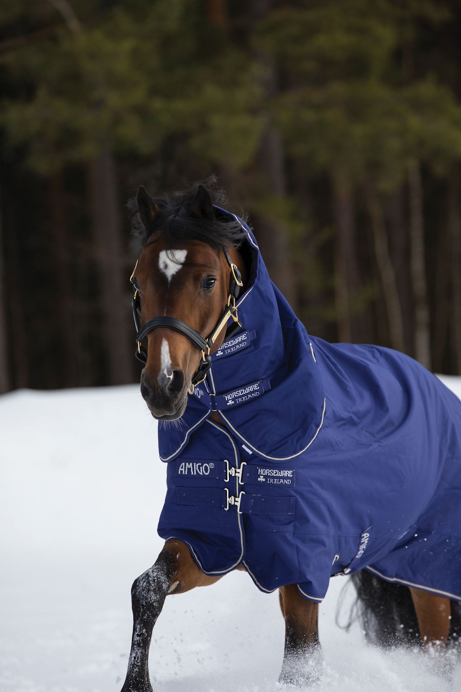 Horseware Amigo Hero 900 Plus Medium Turnout Rug, 200g Horse Rugs