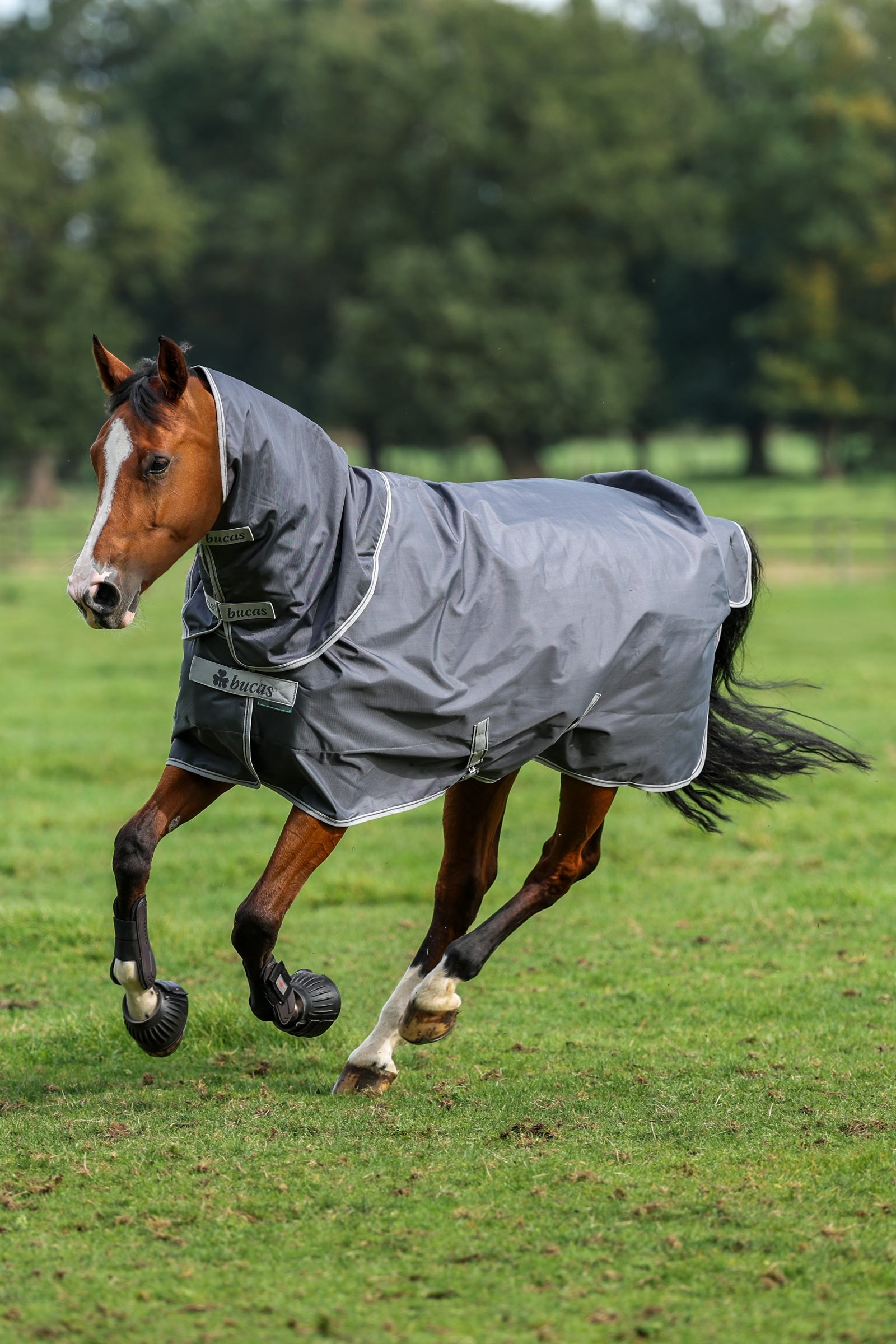 Bucas Smartex Rain Turnout Rug, 0g Horse Rugs
