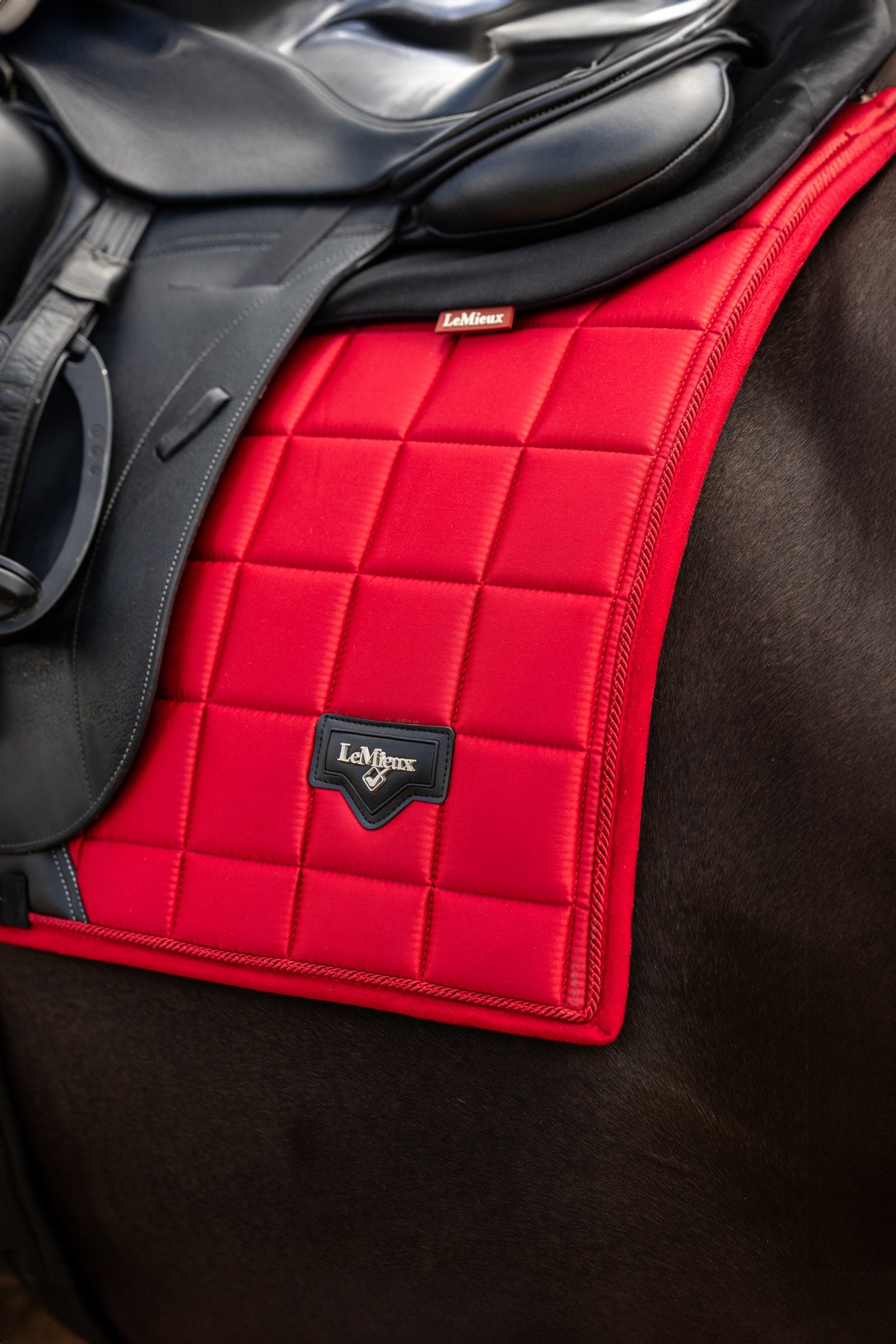 LeMieux Loire Classic Square Dressage Saddle Pad Saddle Pads