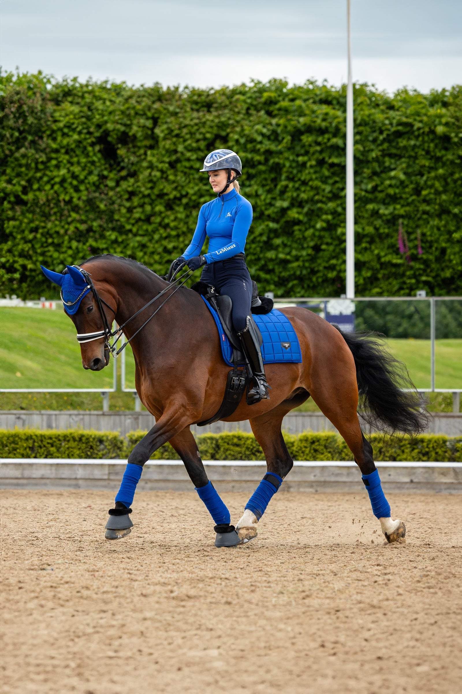 LeMieux Loire Classic Square Dressage Saddle Pad Saddle Pads