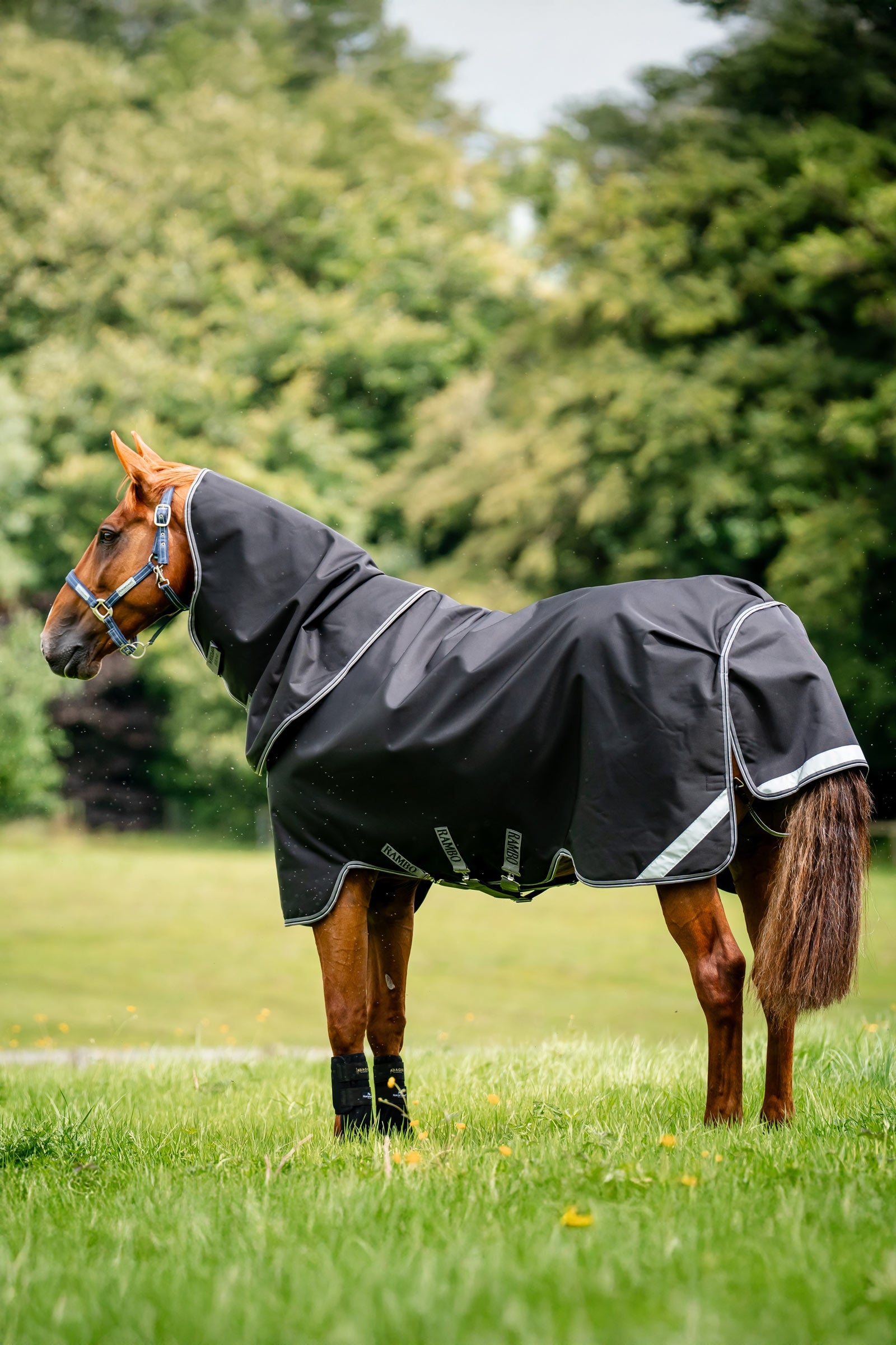 Horseware Rambo 1680D Plus Turnout Rug, 100 g Horse Rugs