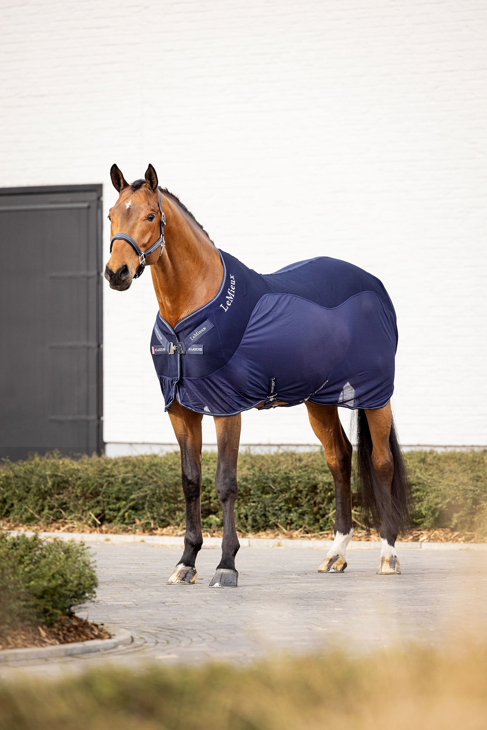LeMieux Kudos Mesh Sports Cooler Rug Horse Rugs