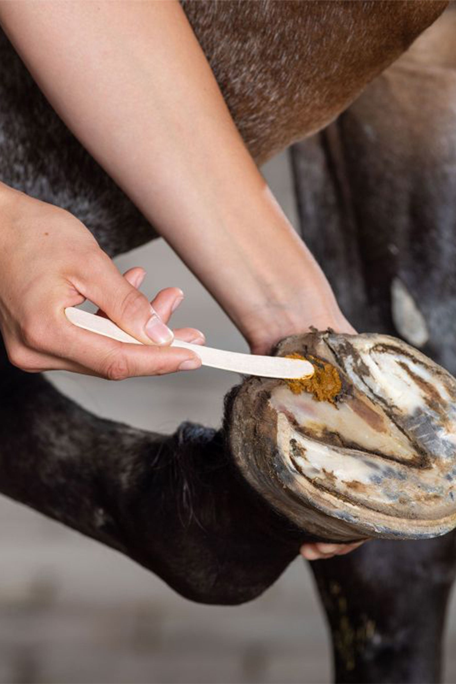 Keralit Undercover Care Paste, 235g Horse Health Care