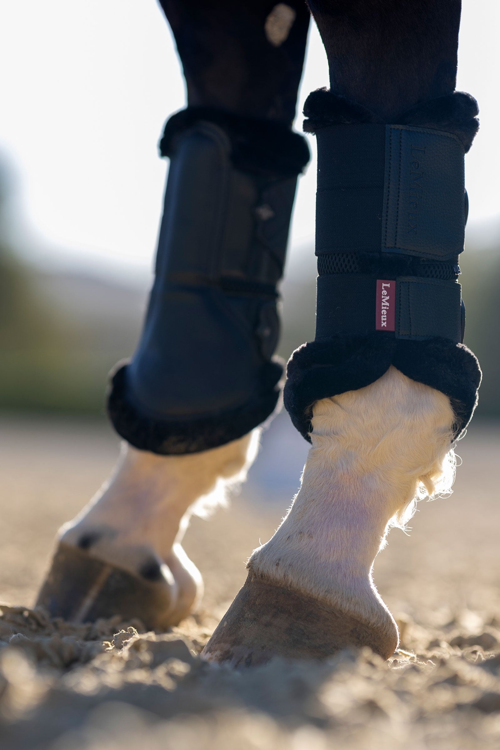 LeMieux Mesh Brushing Boots With Fleece Edging Leg Protection & Hoof Protection for Horses