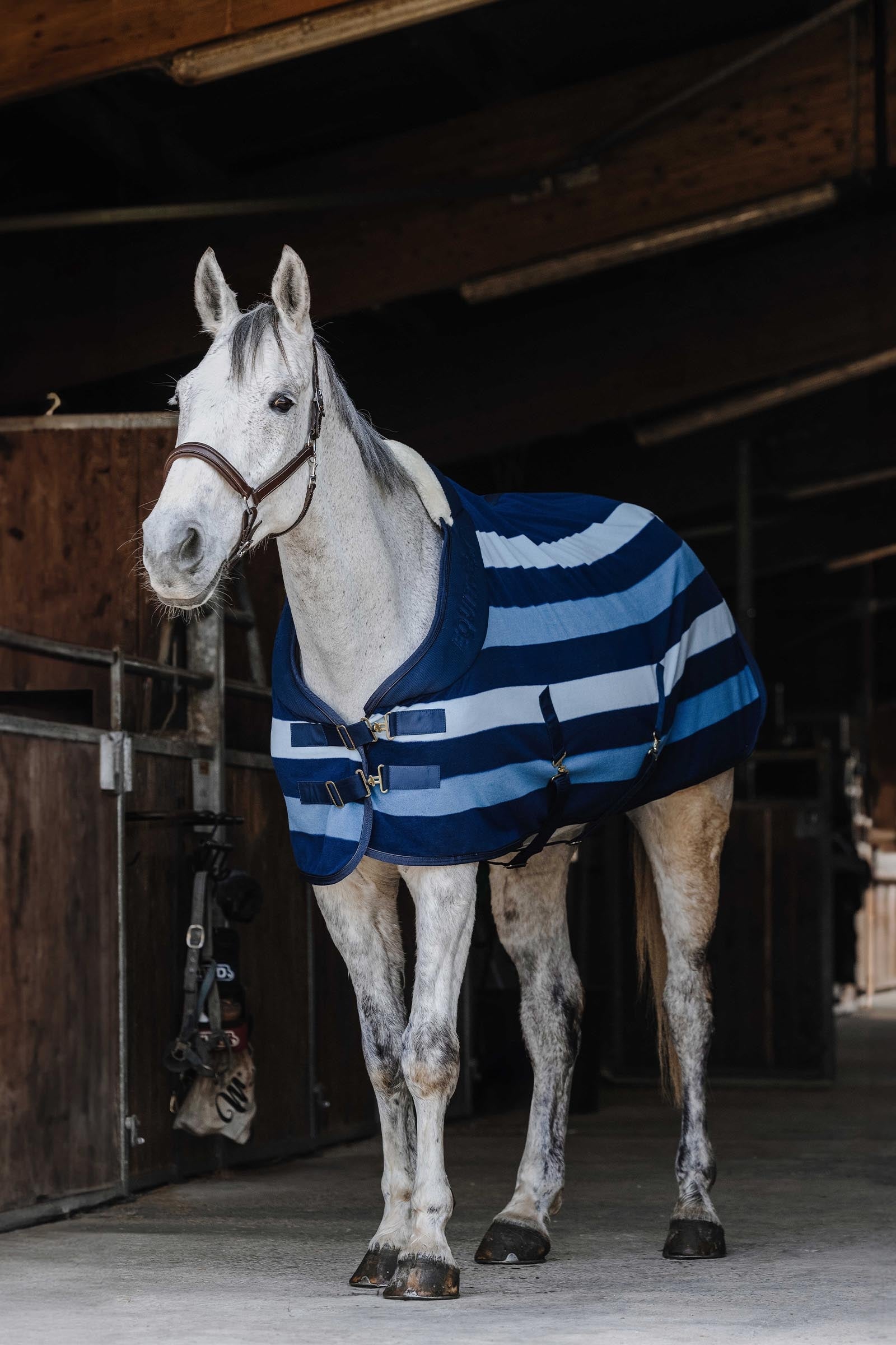 Equi Theme EQUITHÈME Confortech Polar Fleece Sheet Horse Rugs