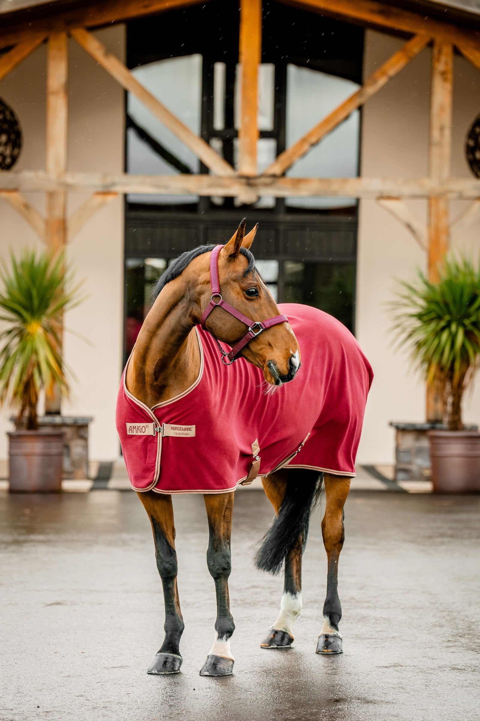Horseware Amigo Fleece Cooler Hästtäcken