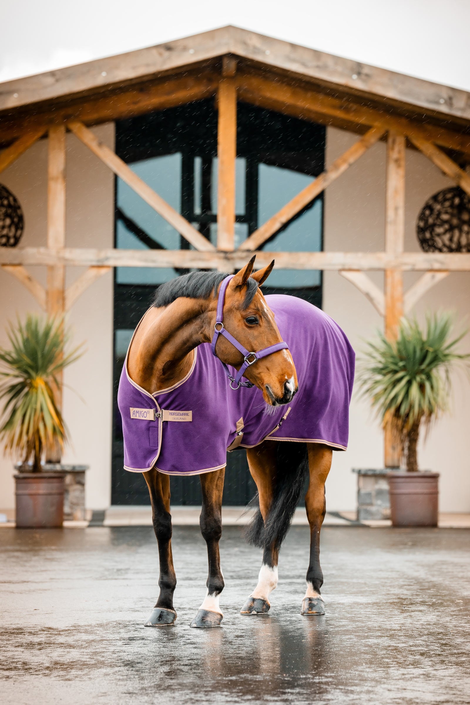 Horseware Amigo Fleece Cooler Horse Rugs