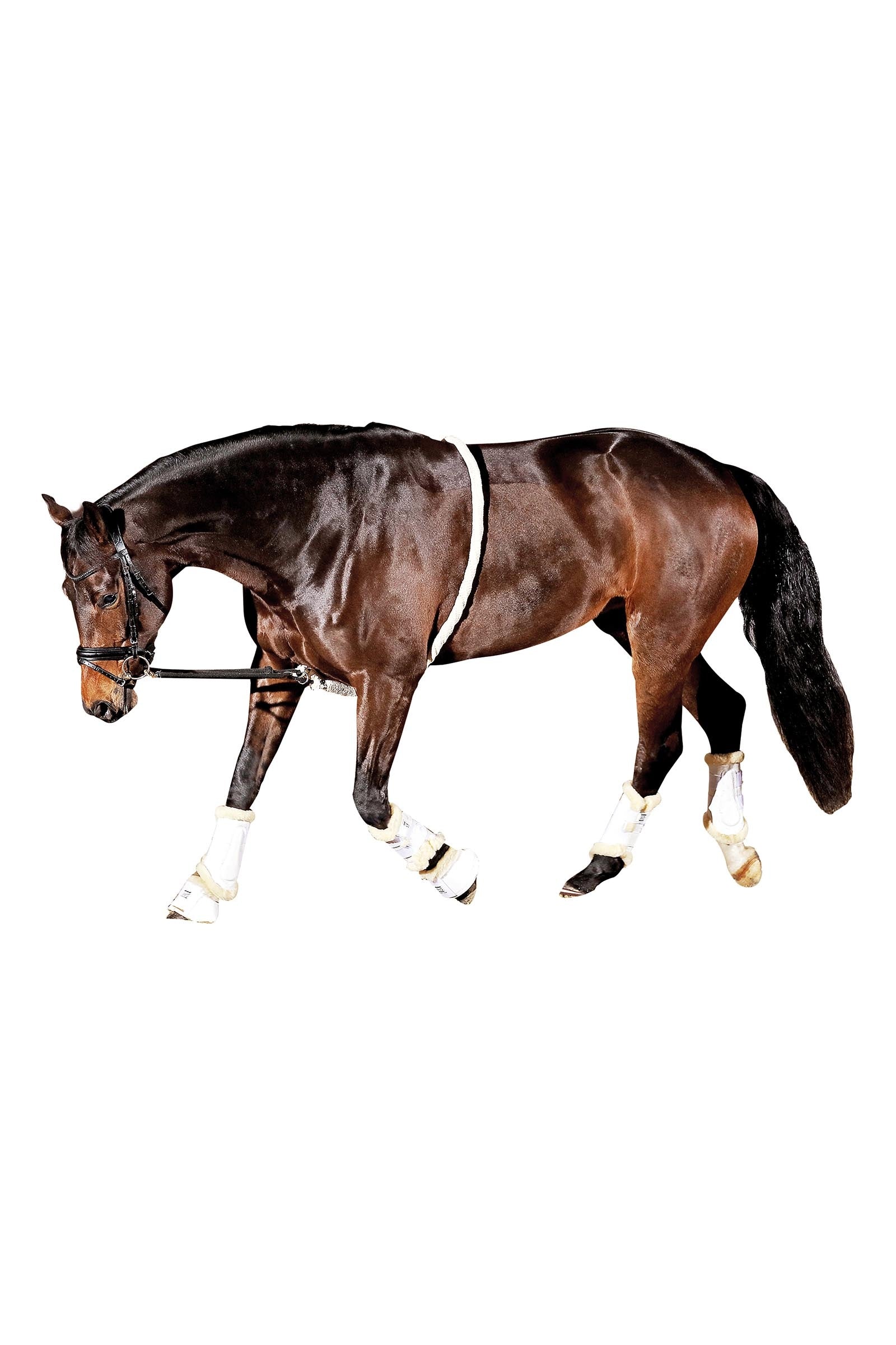 Horse Guard HorseGuard Soft Lunging Aid Träning & longering
