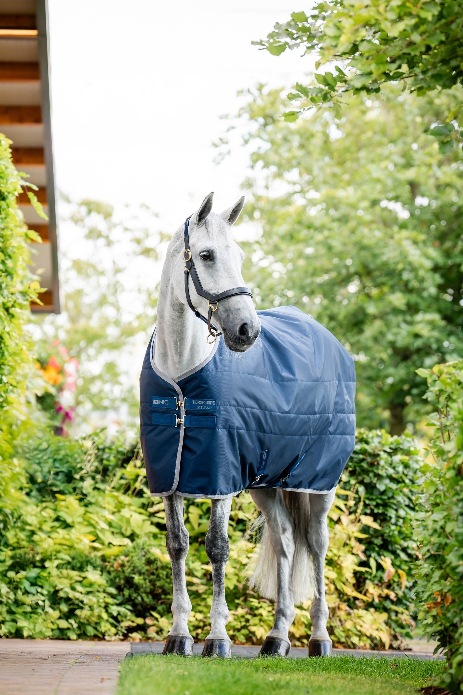 Horseware Ionic Therapy Stalltäcke, 50g Hästtäcken