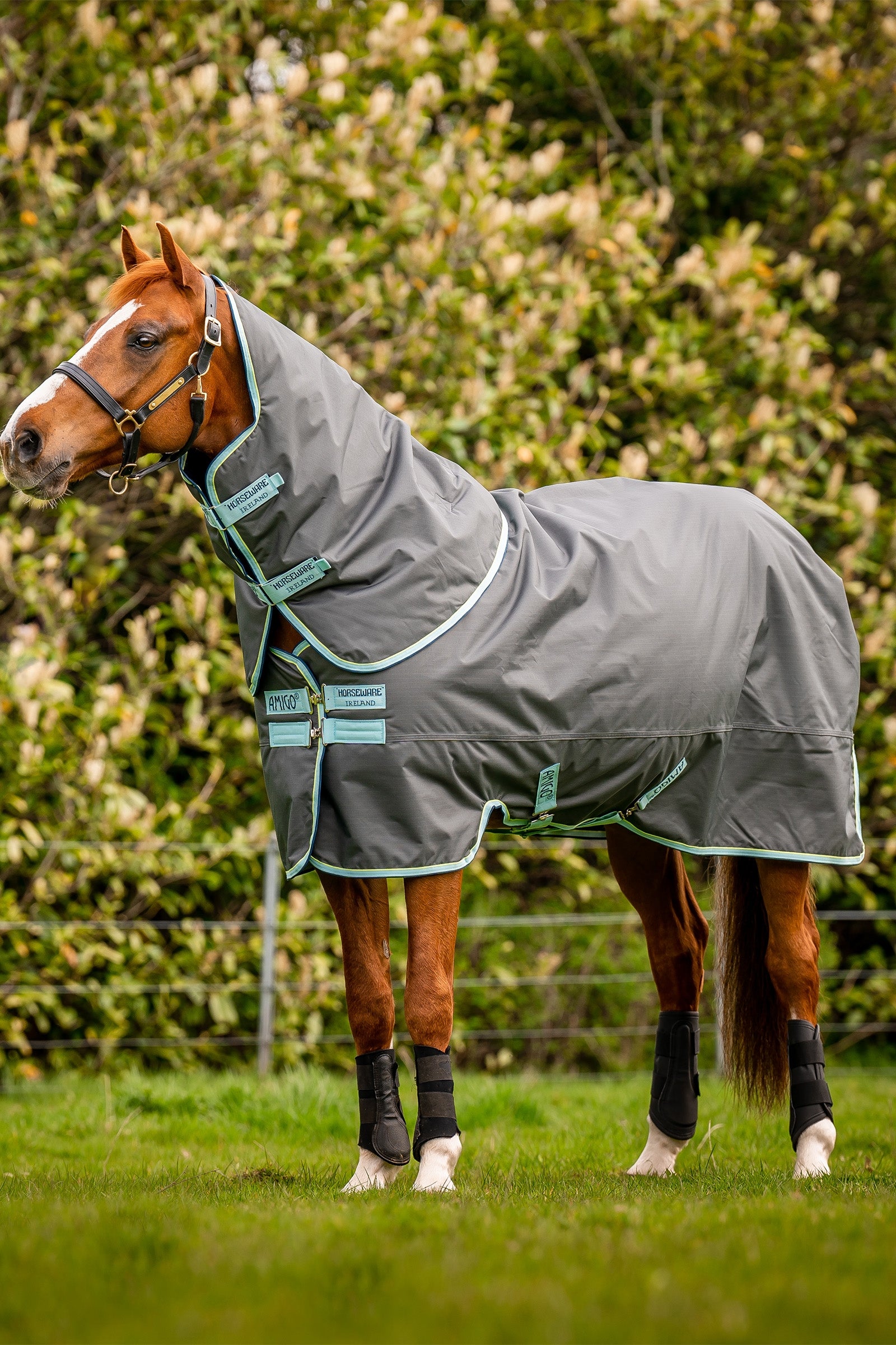Horseware Amigo Hero Ripstop Plus utetäcke med avtagbar hals, 200g Hästtäcken