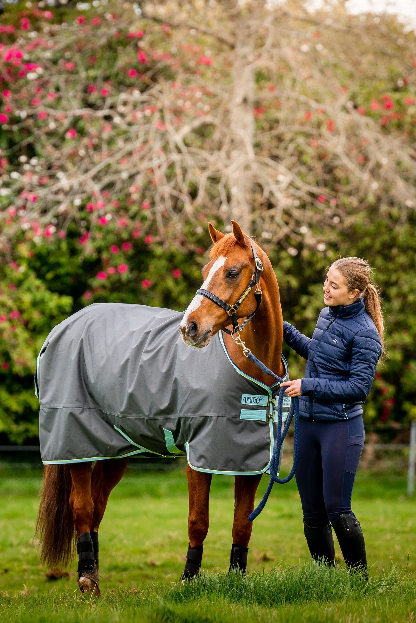Horseware Amigo Hero Ripstop Plus Turnout Rug With Detachable Neck, 200g Horse Rugs