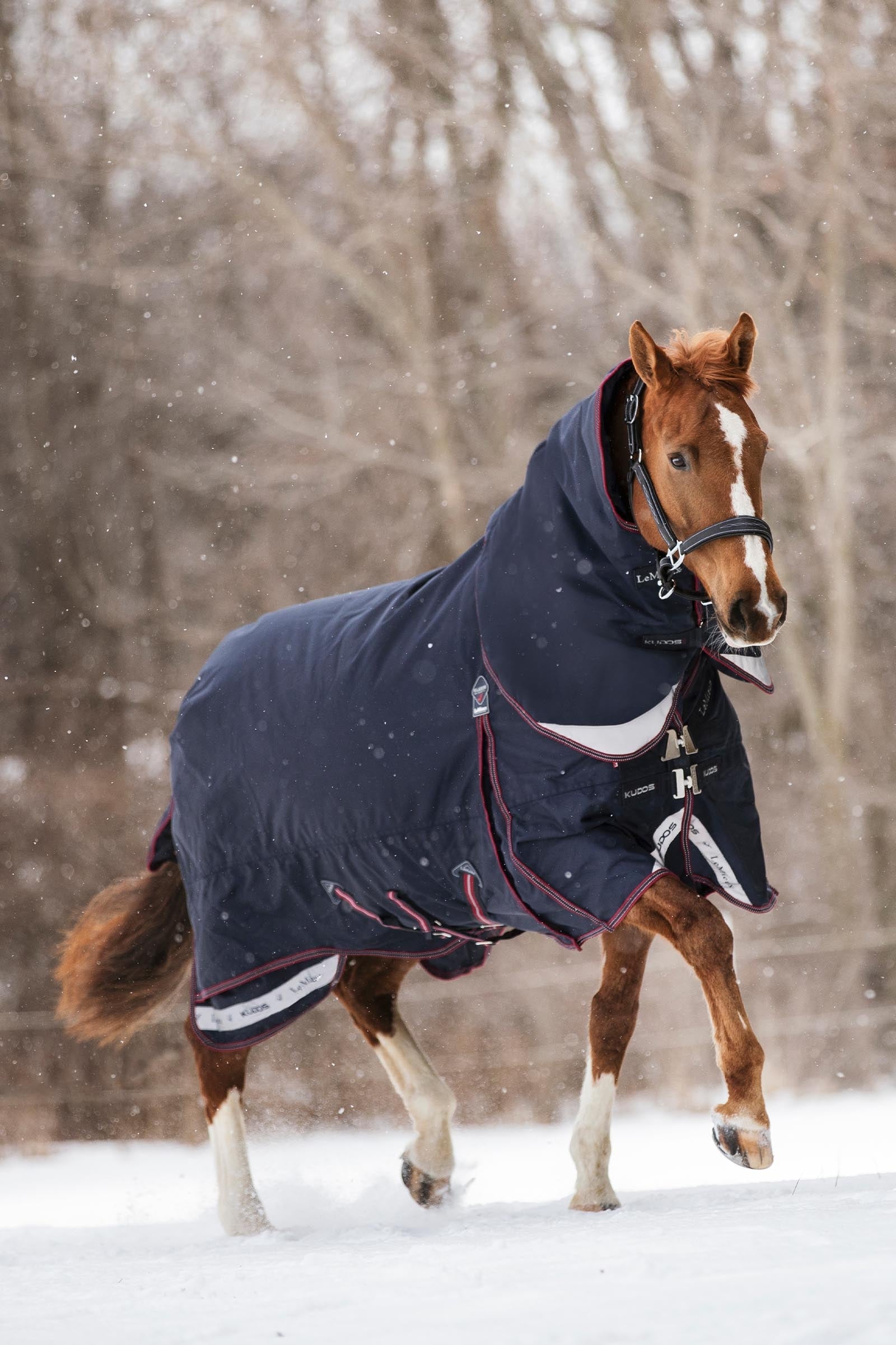 LeMieux Kudos Turnout Rug, 200 g Hästtäcken