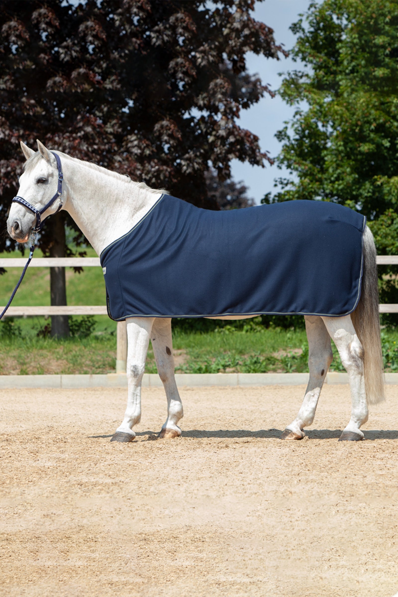 Kavalkade Fleece Cooler Horse Rugs