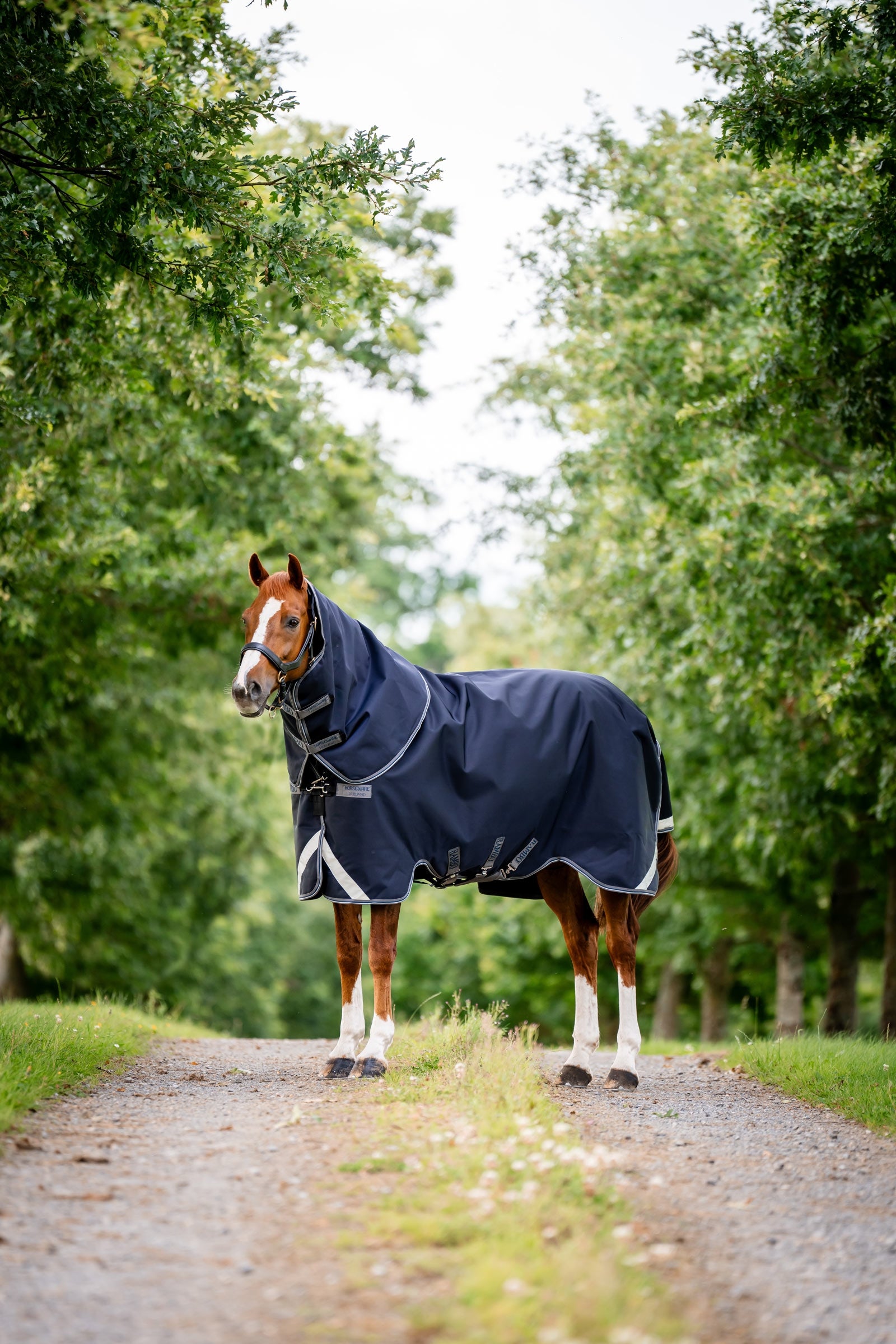 Horseware Rambo 1680D Plus Vario Layer utetäcke, 250 g Hästtäcken