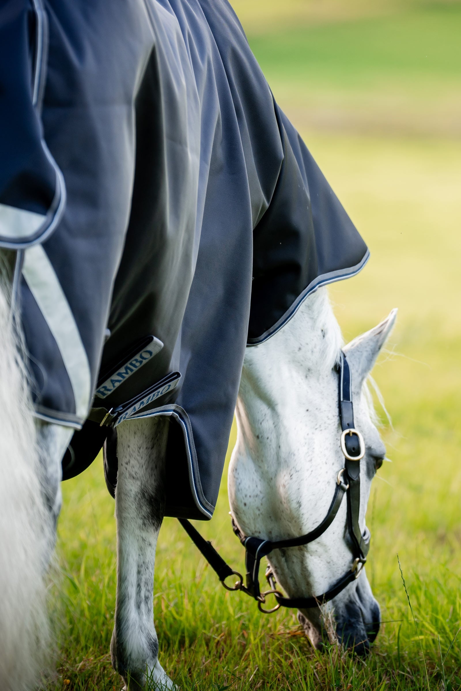 Horseware Rambo 1680D Plus Vario Layer Turnout Rug, 250 g Horse Rugs
