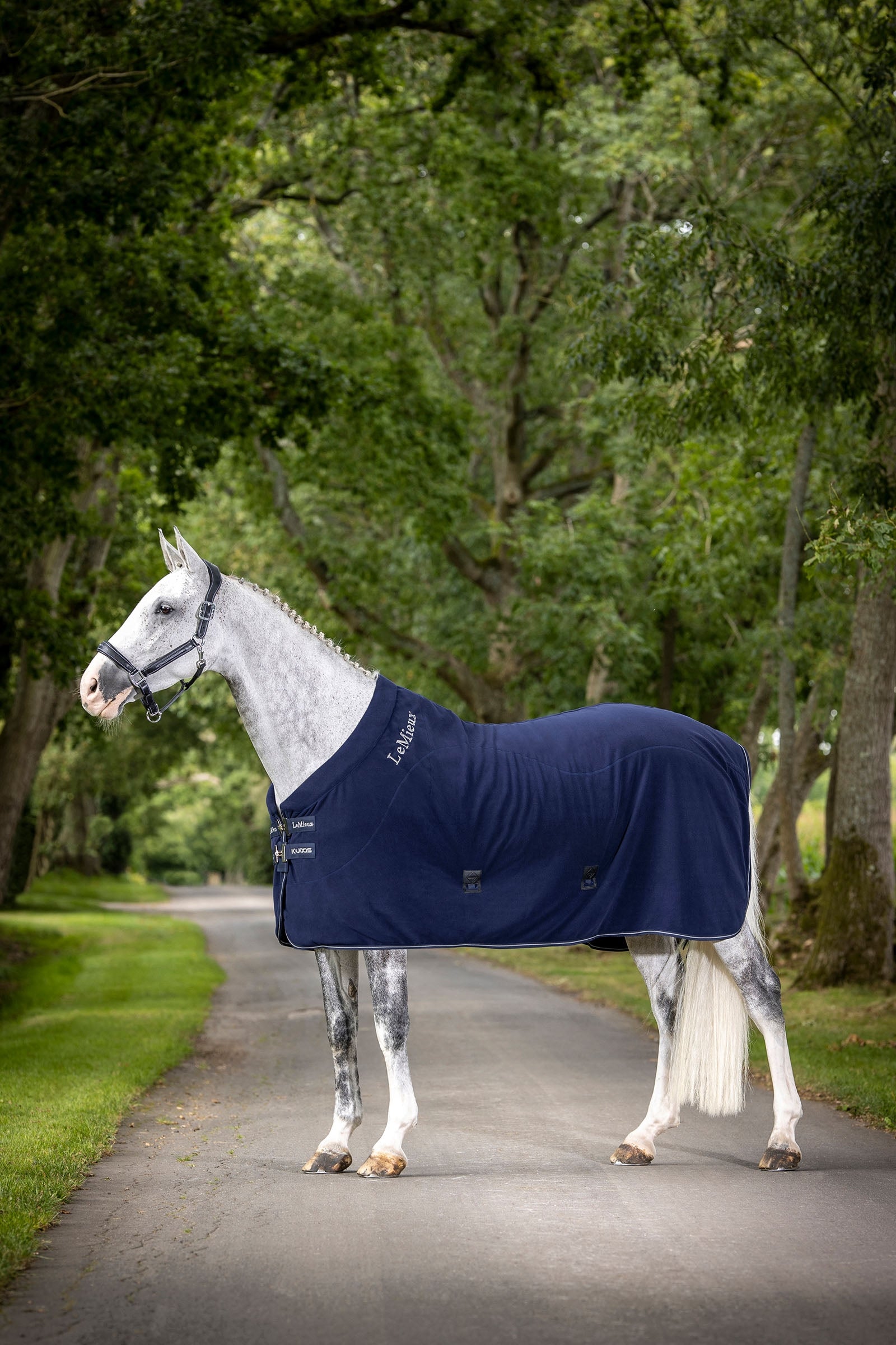LeMieux Kudos Fleece Cooler Rug Horse Rugs