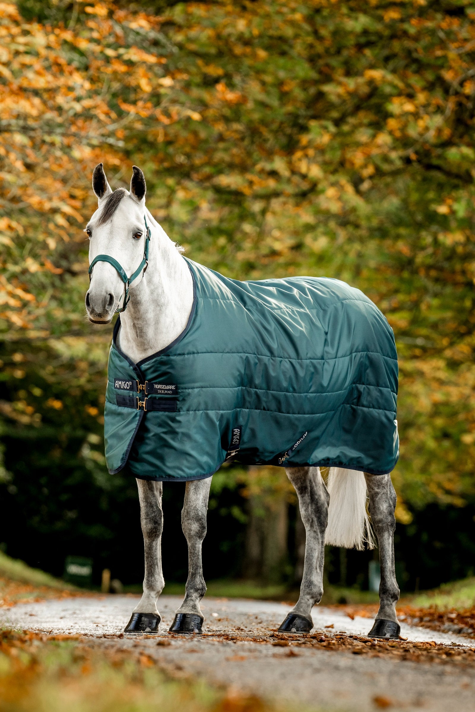 Horseware Amigo Ripstop Insulator Stalltäcke, 50g Hästtäcken