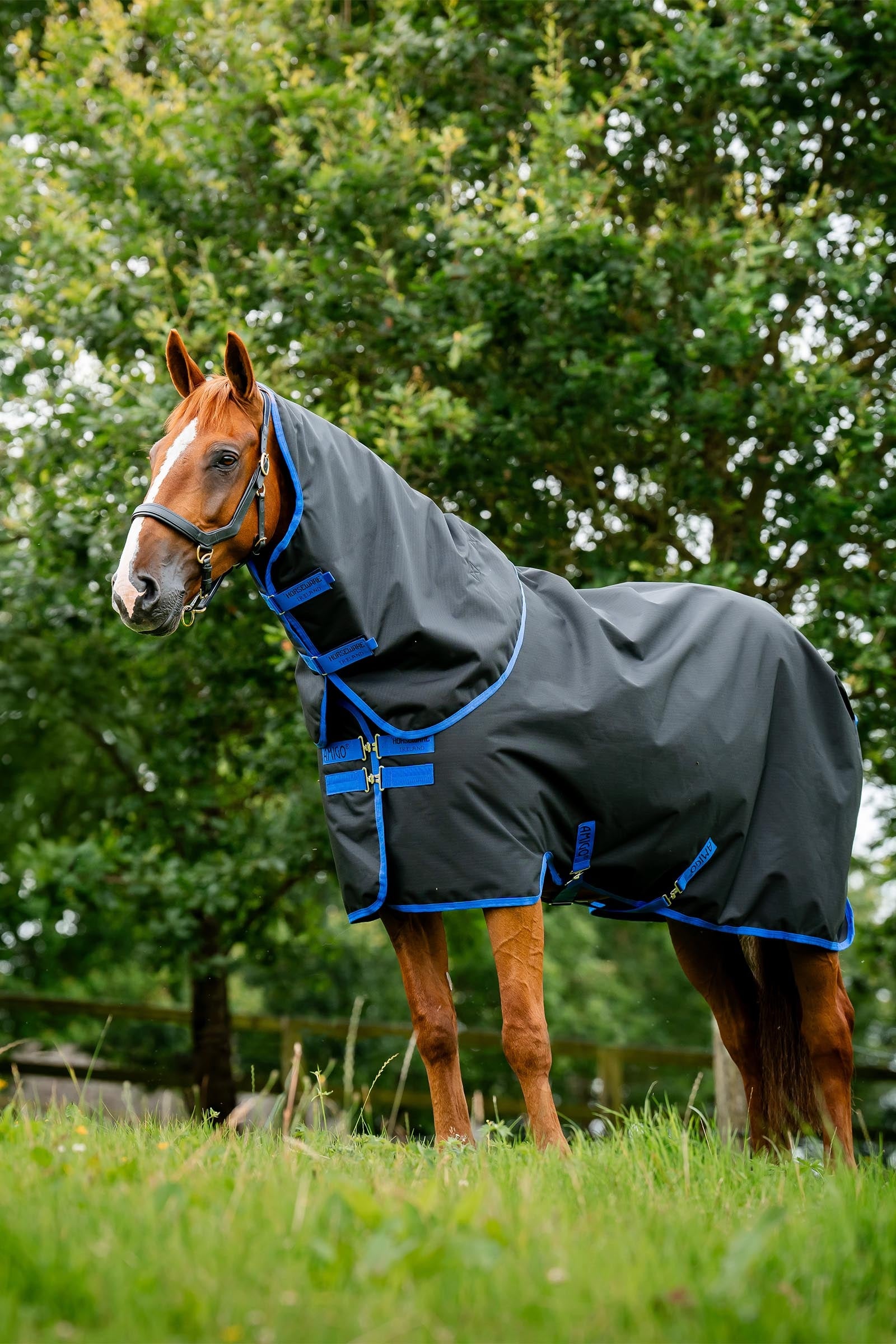 Horseware Amigo Ripstop 900D Plus Turnout, 200g Horse Rugs