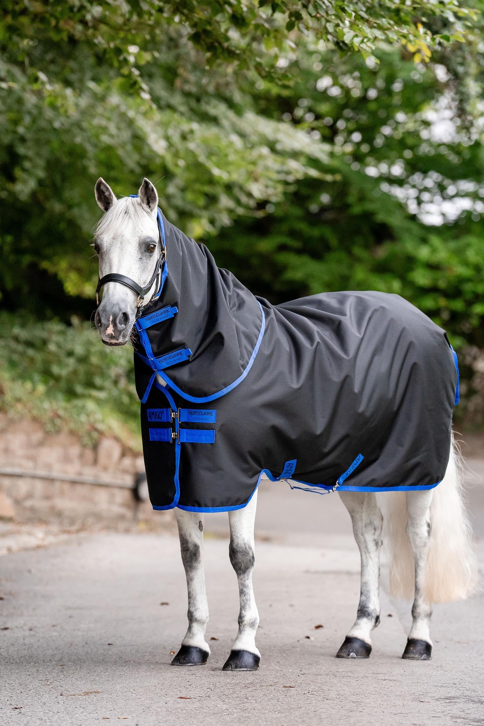 Horseware Amigo Ripstop 900D Plus Turnout, 200g Horse Rugs