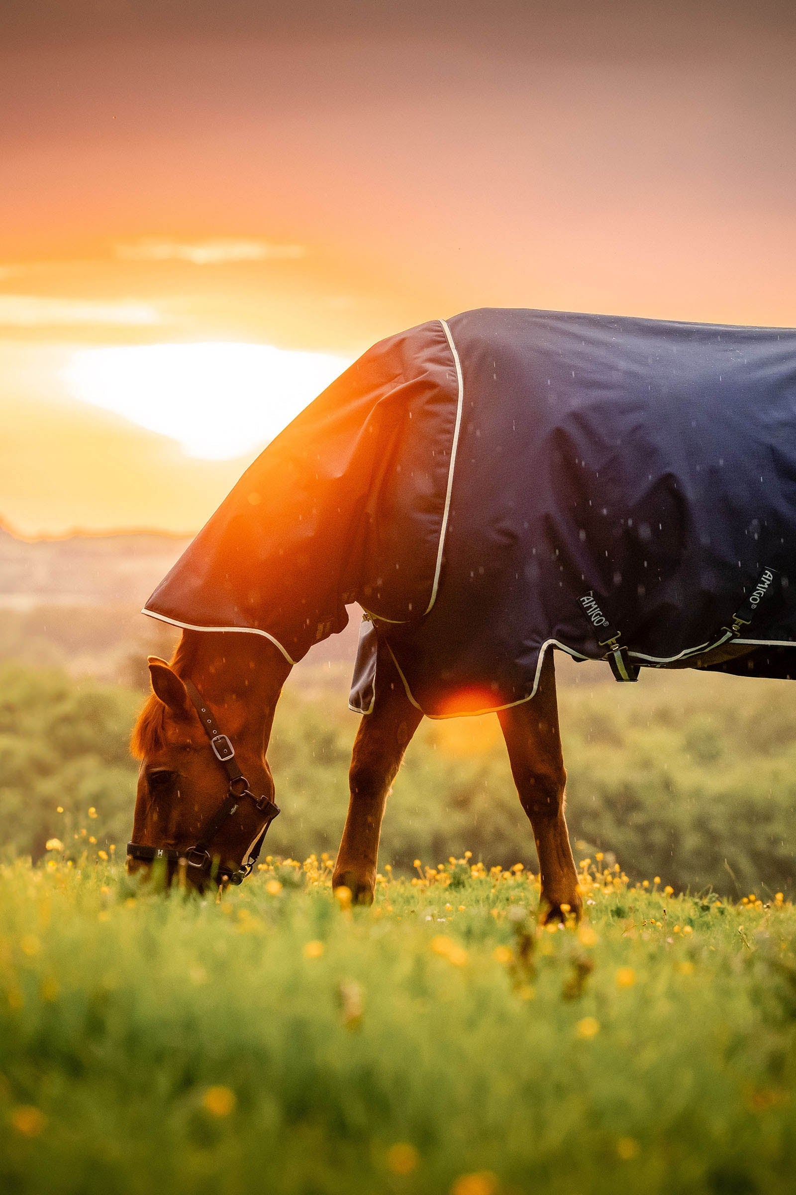 Horseware Amigo Ripstop 900D Plus utetäcke, 200 g Hästtäcken