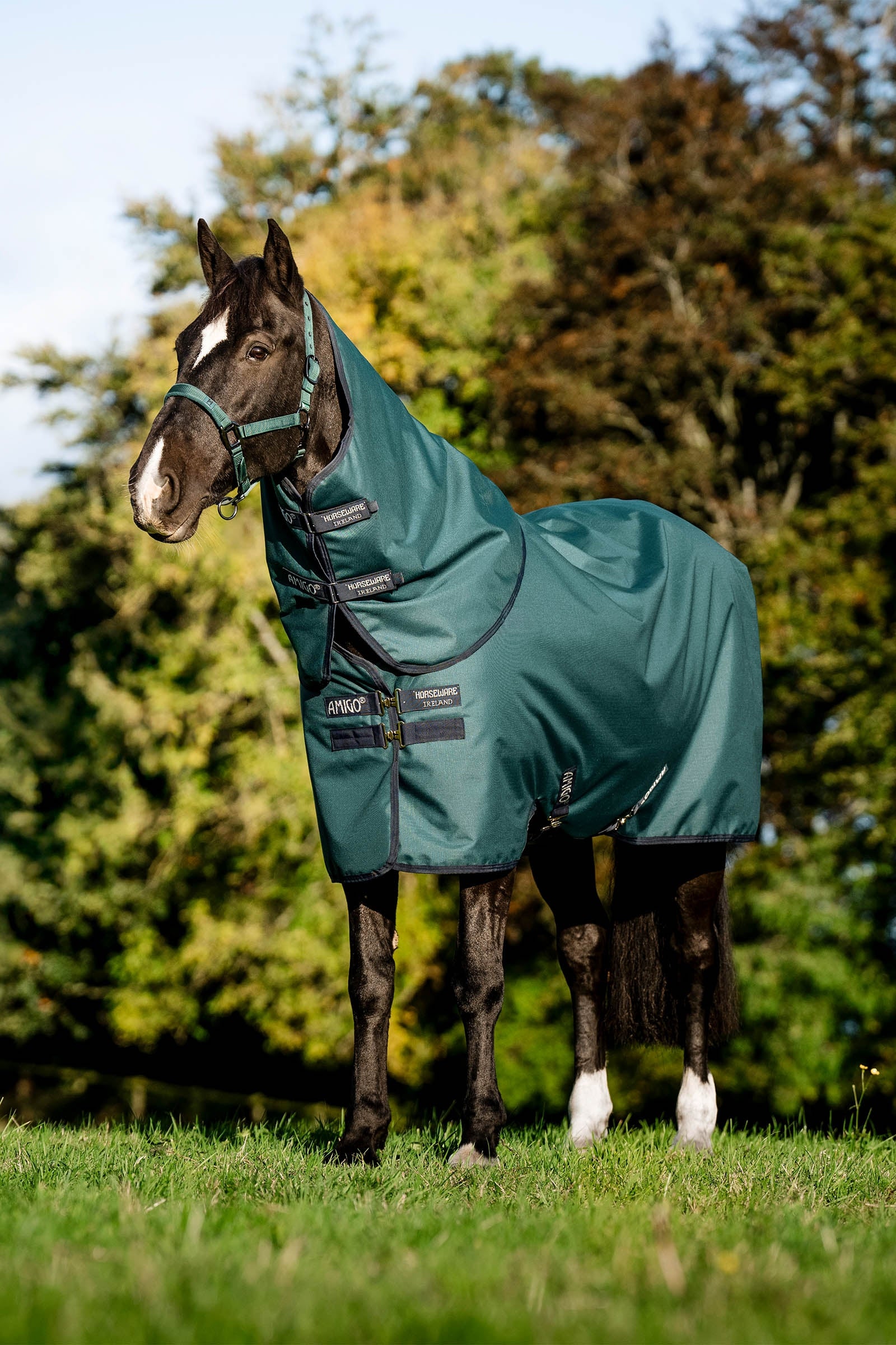 Horseware Amigo Ripstop 900D Plus utetäcke, 200 g Hästtäcken