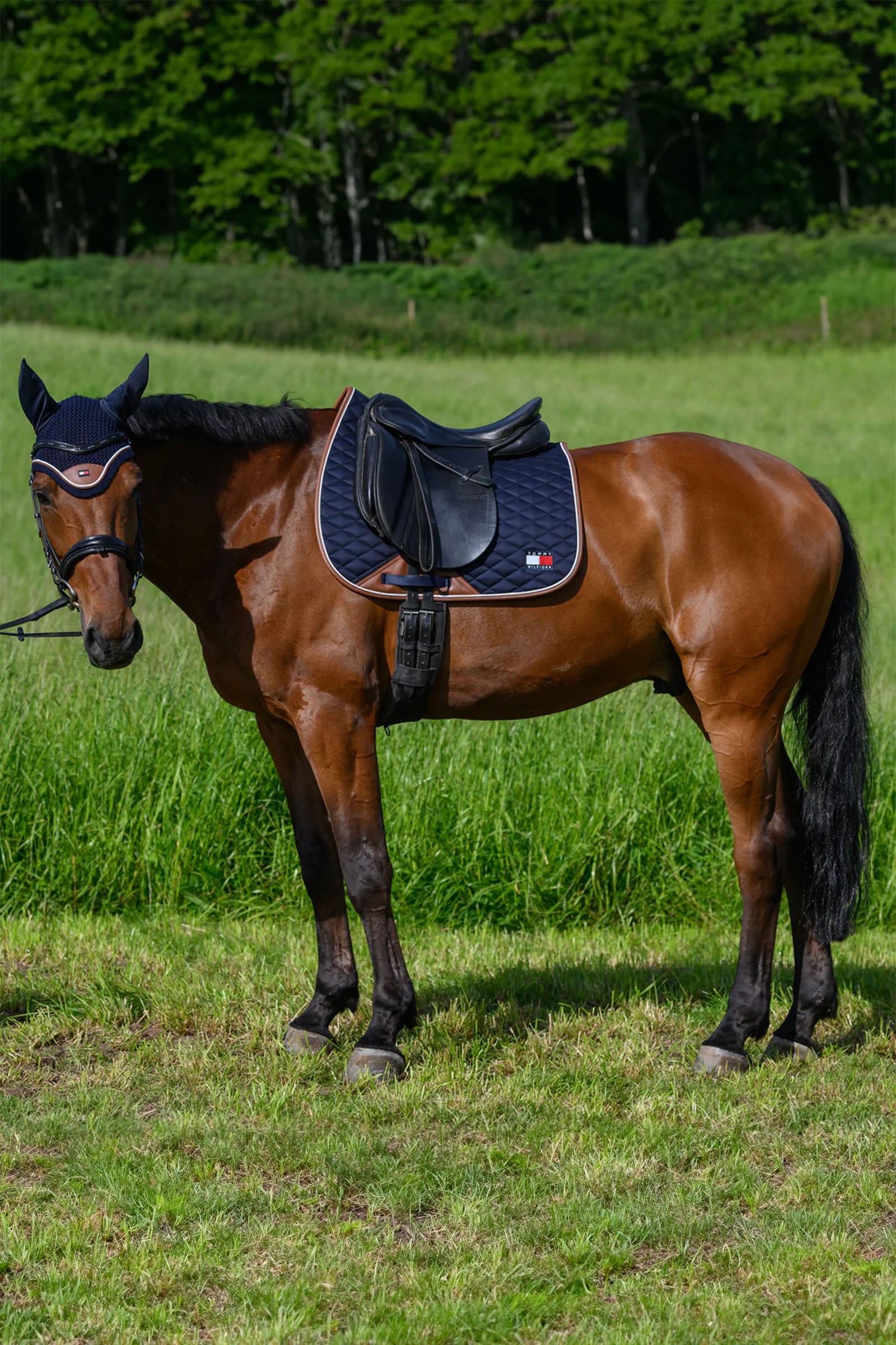 Tommy Hilfiger Equestrian Princeton Dressage Saddlepad Saddle Pads