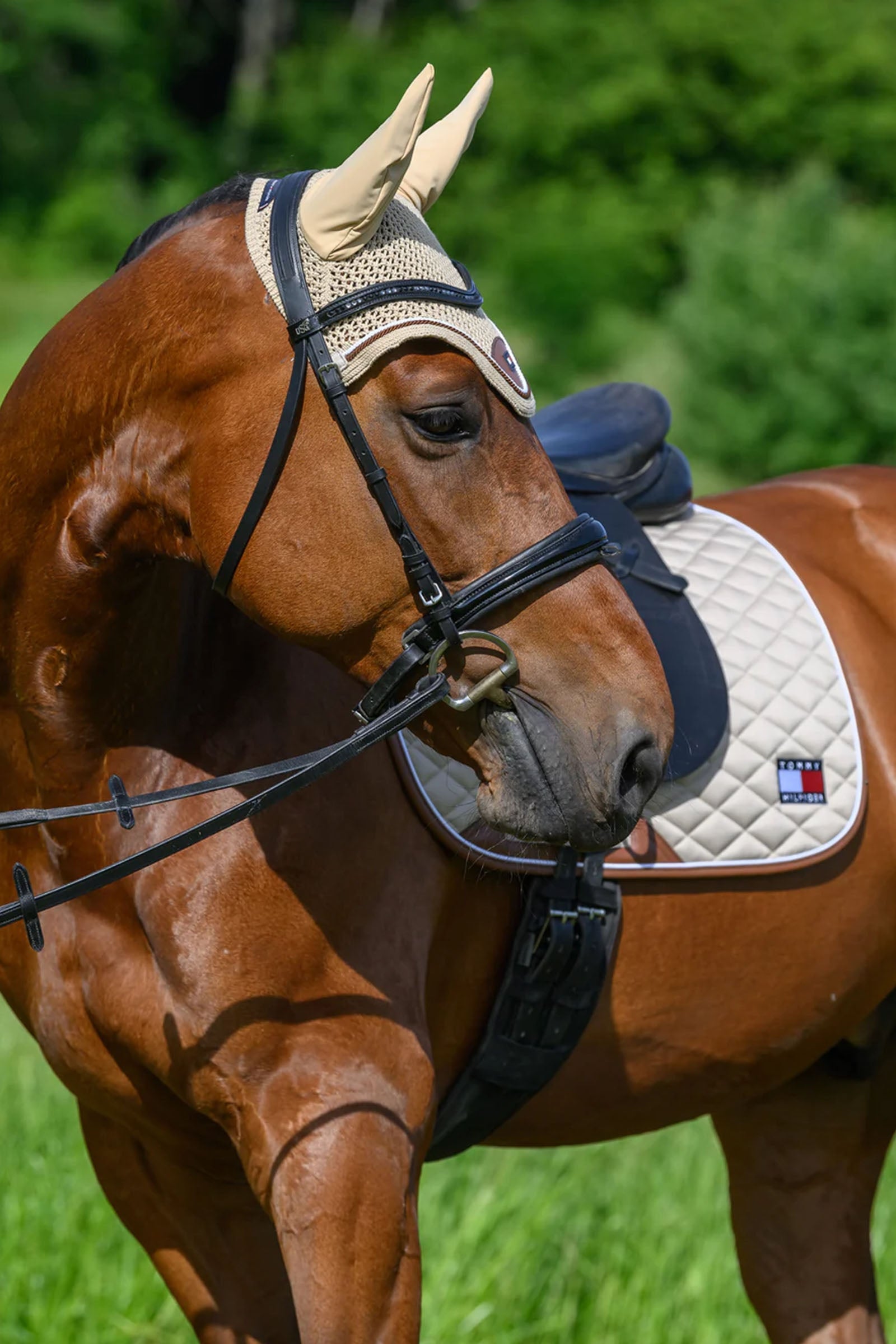 Tommy Hilfiger Equestrian Princeton Dressage Saddlepad Saddle Pads