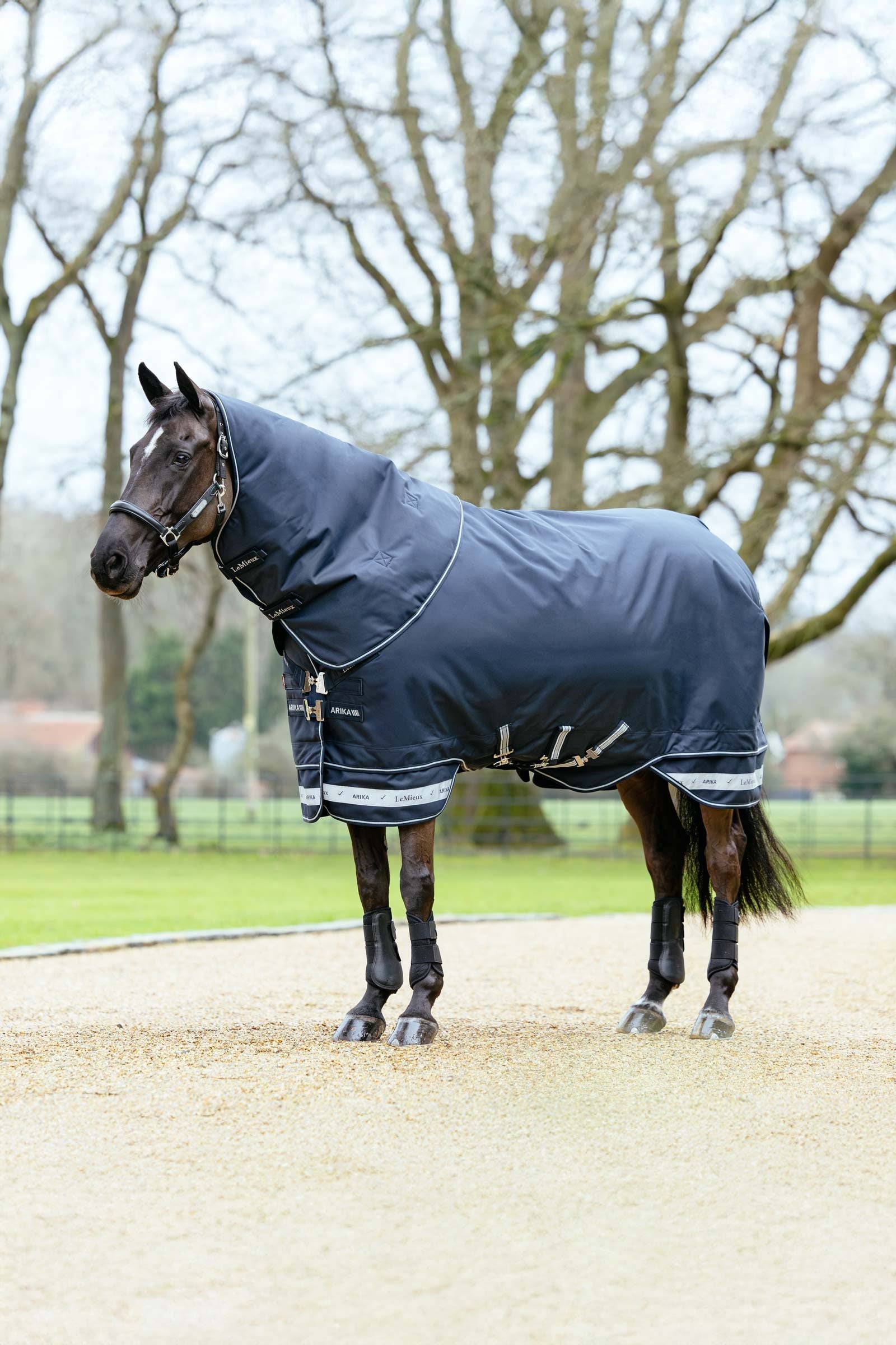 LeMieux Arika Storm-Tek Turnout Rug With Detachable Neck, 100 g Horse Rugs