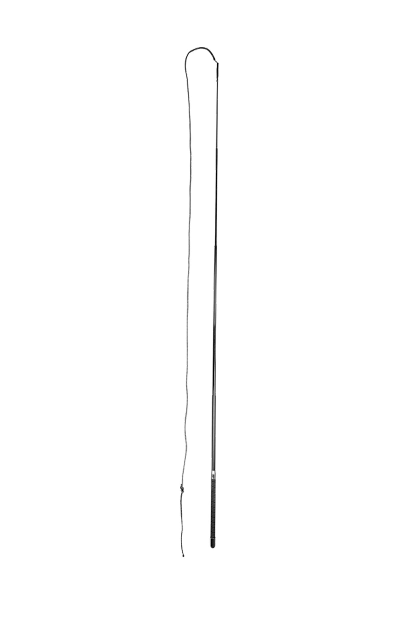 Waldhausen Longeringspisk Superlight från Ridspön