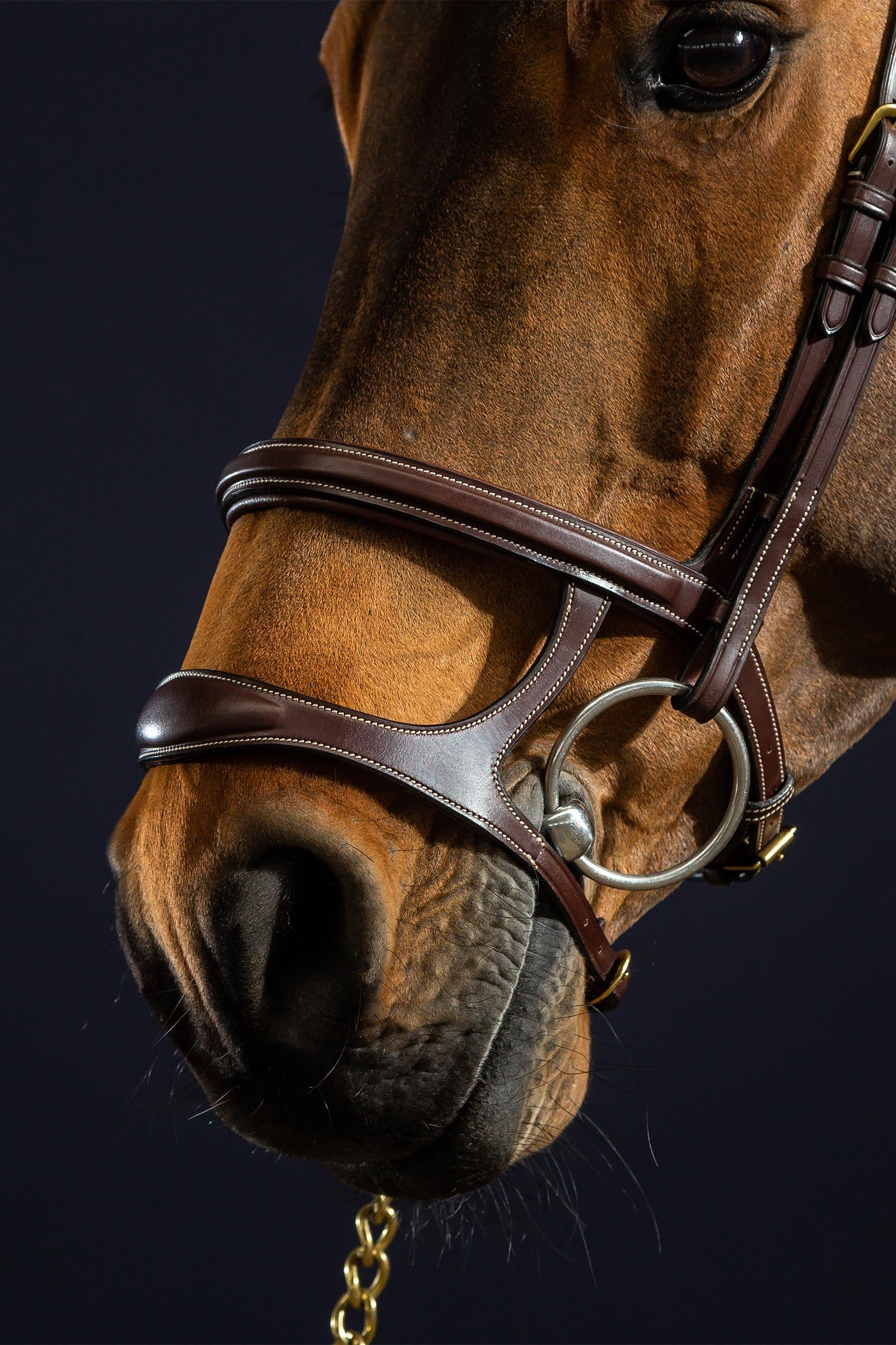 Dy'on D Collection Double Noseband Bridle Bridles & Reins