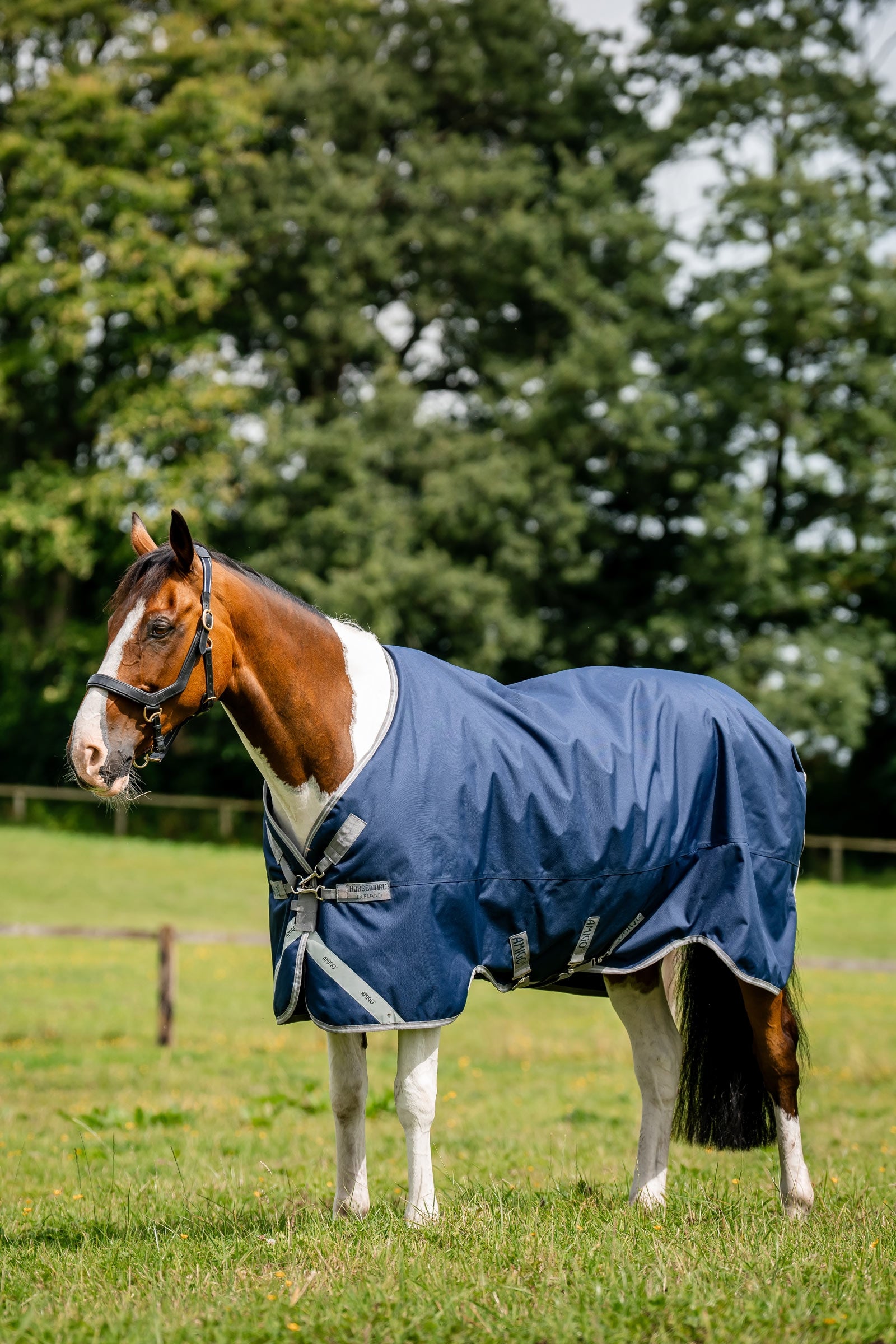 Horseware Amigo 1200D utetäcke, 250 g Hästtäcken