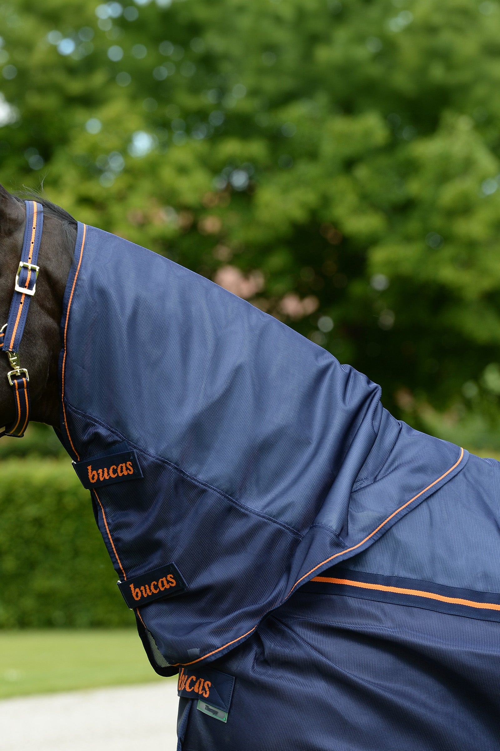Bucas Therapy Mesh Neck Horse Rugs