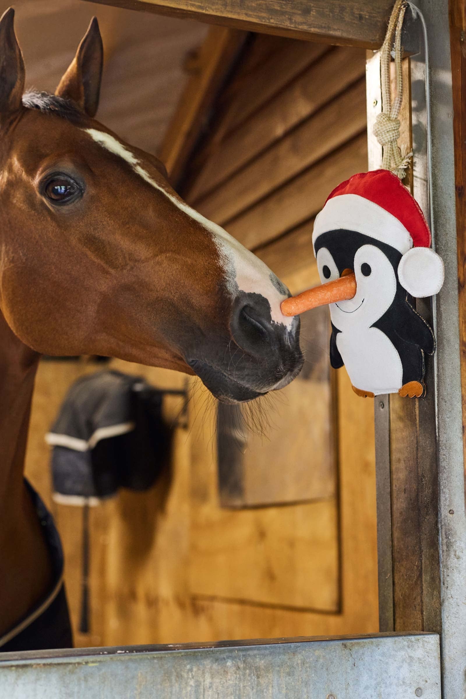 LeMieux Penquin Horse Toy Gifts & Toys