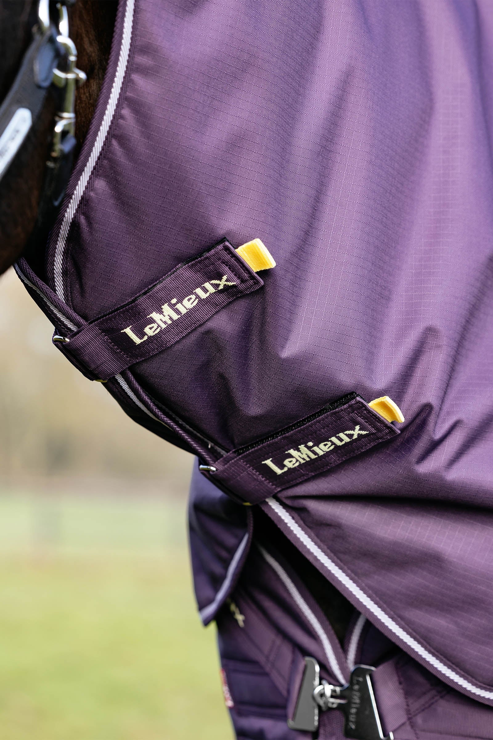 LeMieux Arika Ripstop Turnout Rug With Detachable Neck, 100 g Horse Rugs