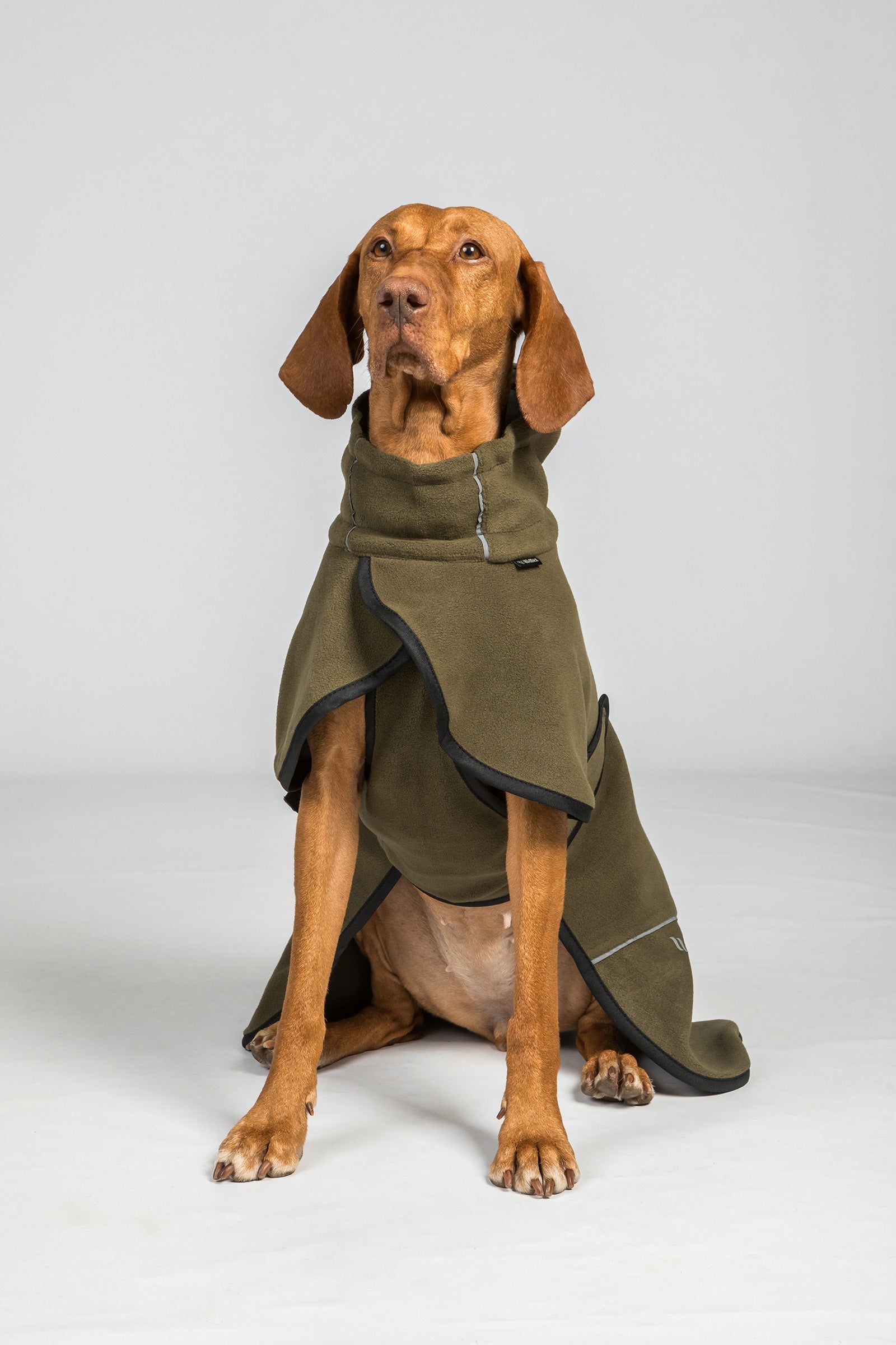 Back on Track Bay Fleece Dog Coat, High Set Tail Dog Accesories