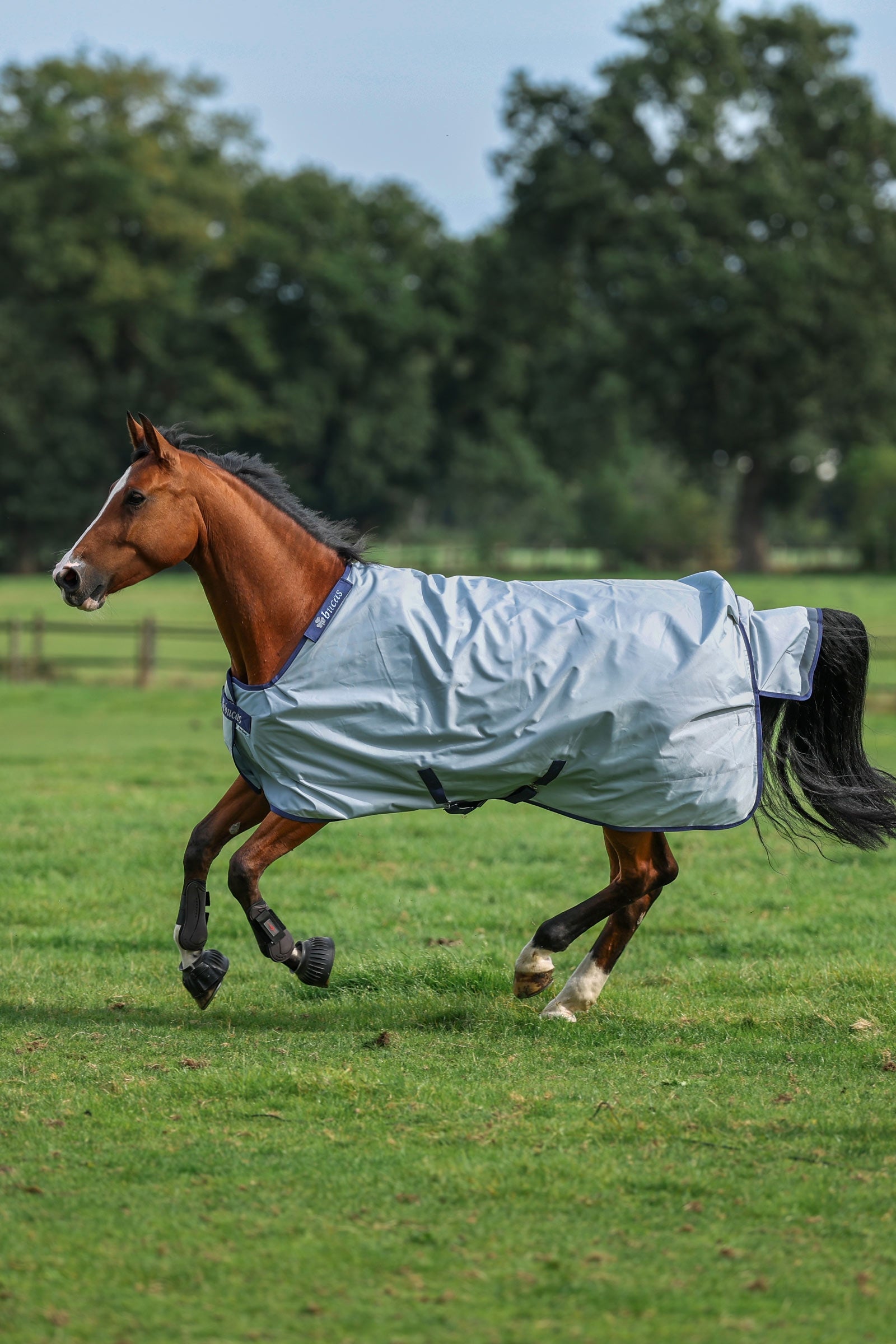 Bucas Power Turnout Light, 0g Horse Rugs