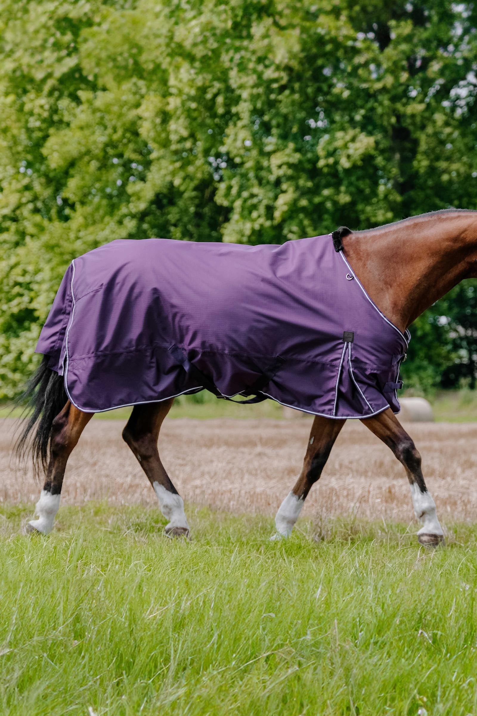 Equi Theme EQUITHÈME TYREX Aisance 600D Turnout Rug, 50 g Horse Rugs