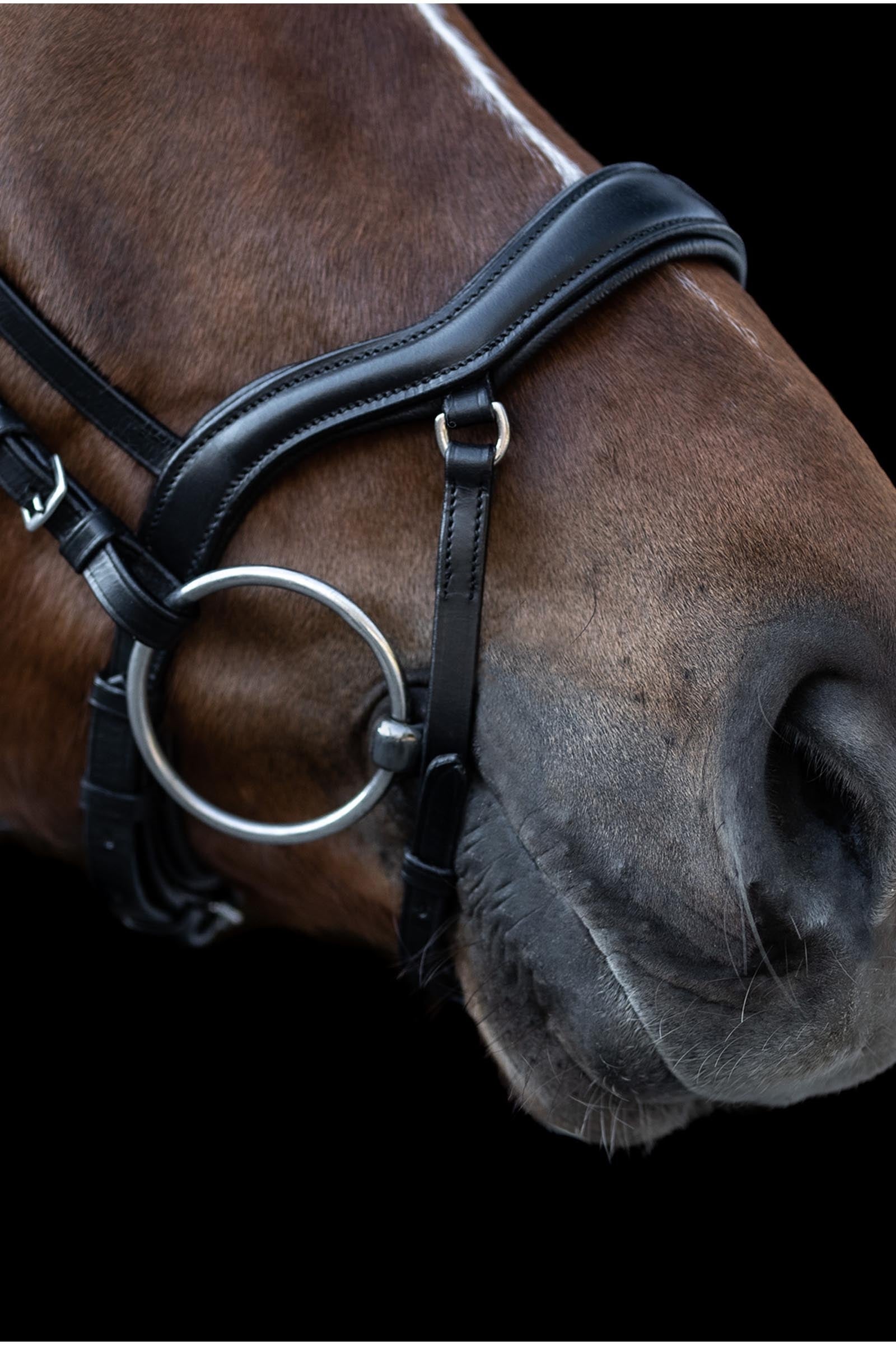 Waldhausen X-Line New Shape II, Bridle Bridles & Reins