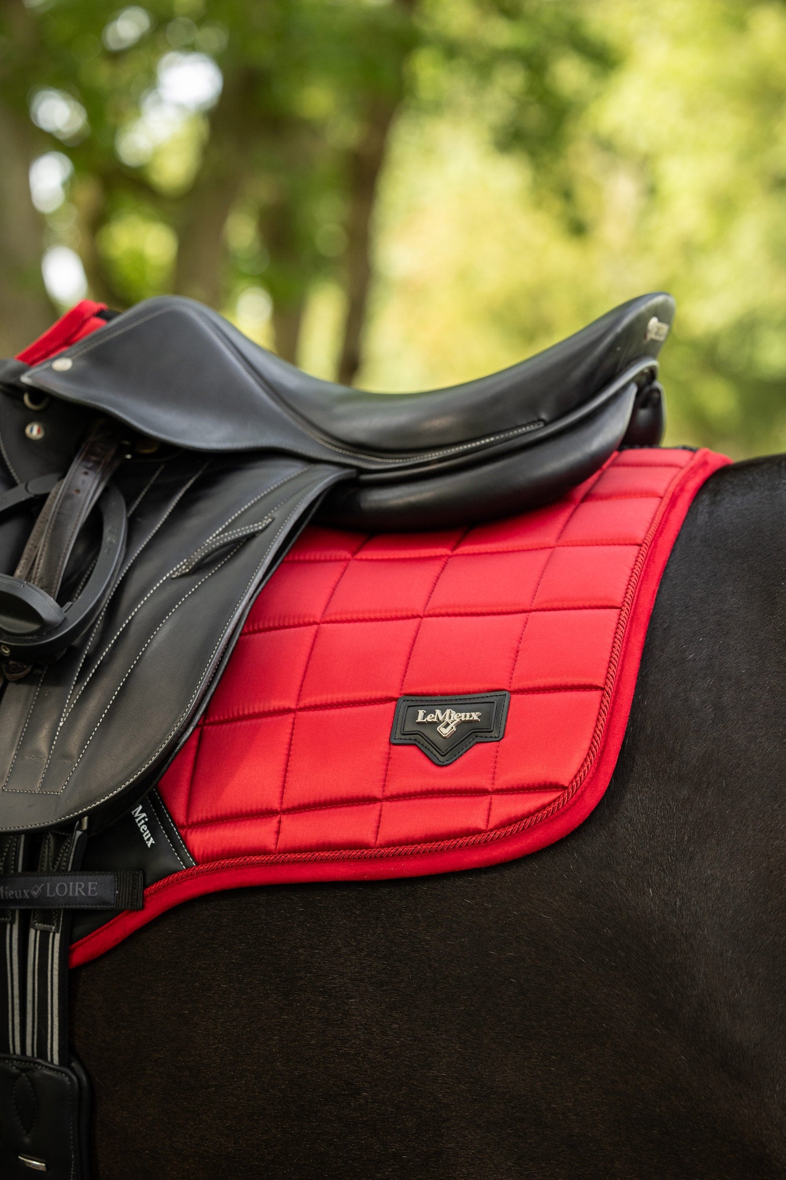LeMieux Loire Classic Square Close Contact Saddle Pad Saddle Pads