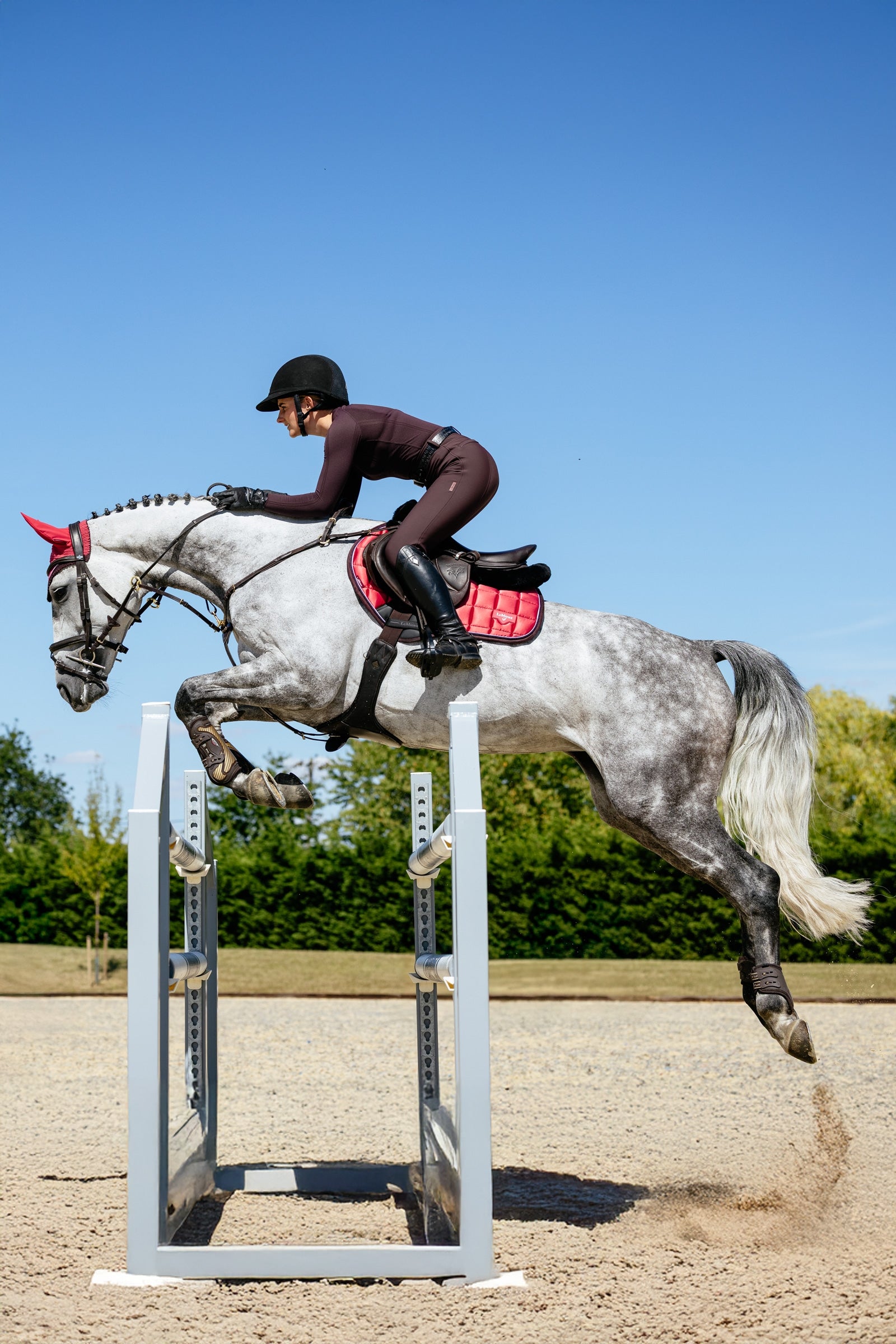 LeMieux Loire Classic Square Close Contact Saddle Pad Saddle Pads