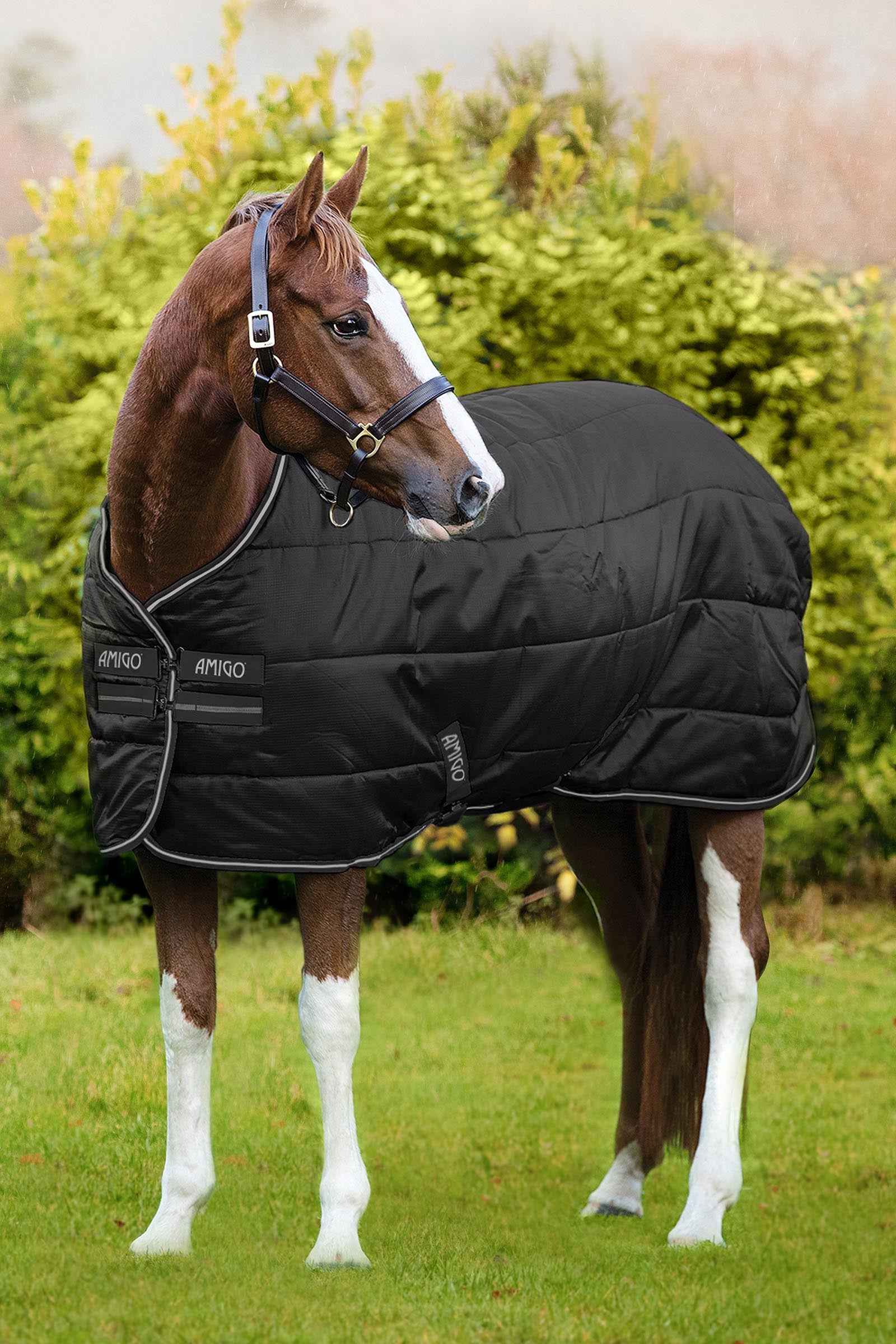 Horseware Amigo Ripstop Insulator Stable Rug, 200g Horse Rugs