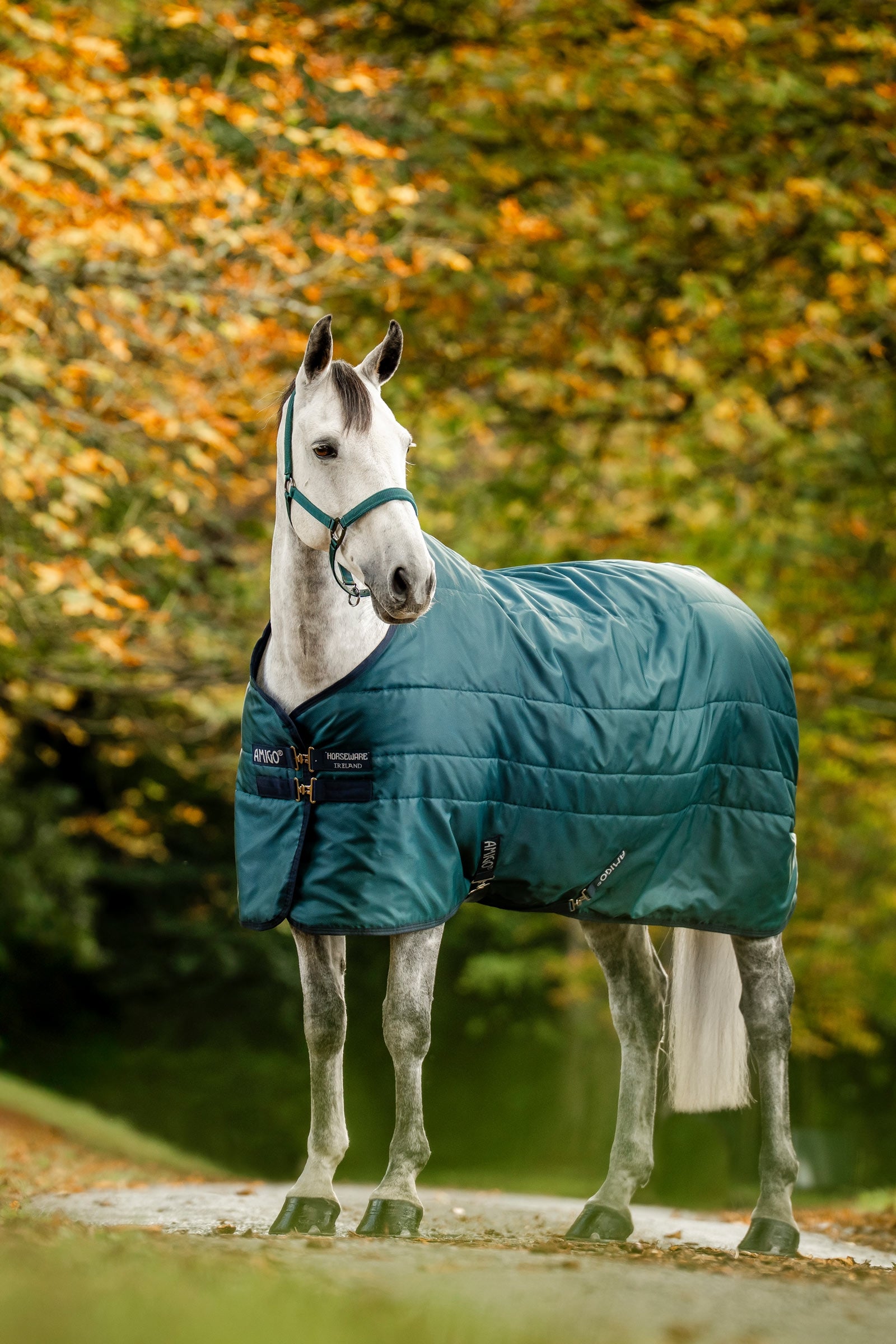 Horseware Amigo Ripstop Insulator stalltäcke, 200g Hästtäcken