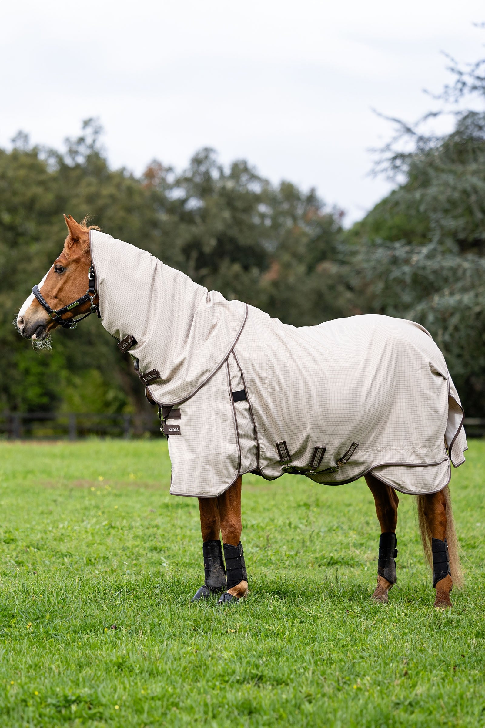 LeMieux Kudos utetäcke Hästtäcken