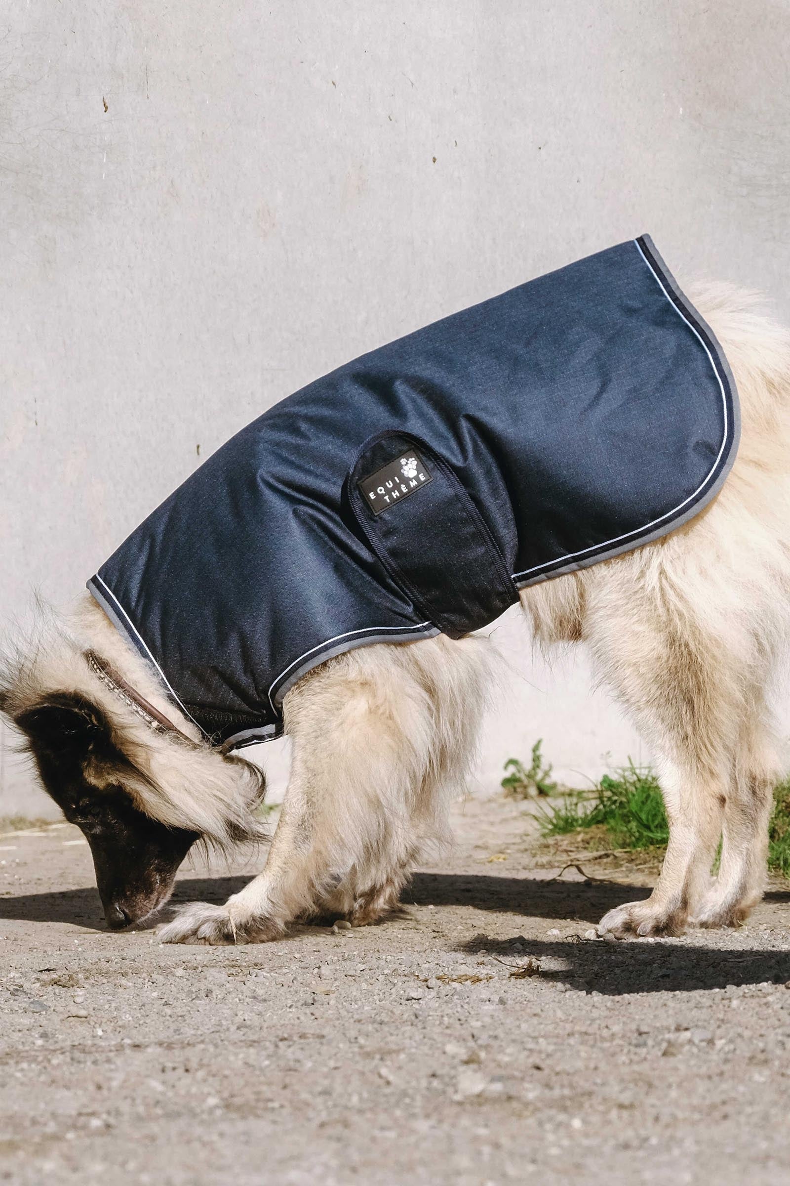 Equi Theme EQUITHÈME TYREX 600D Dog Rug, 220 g Dog Accesories