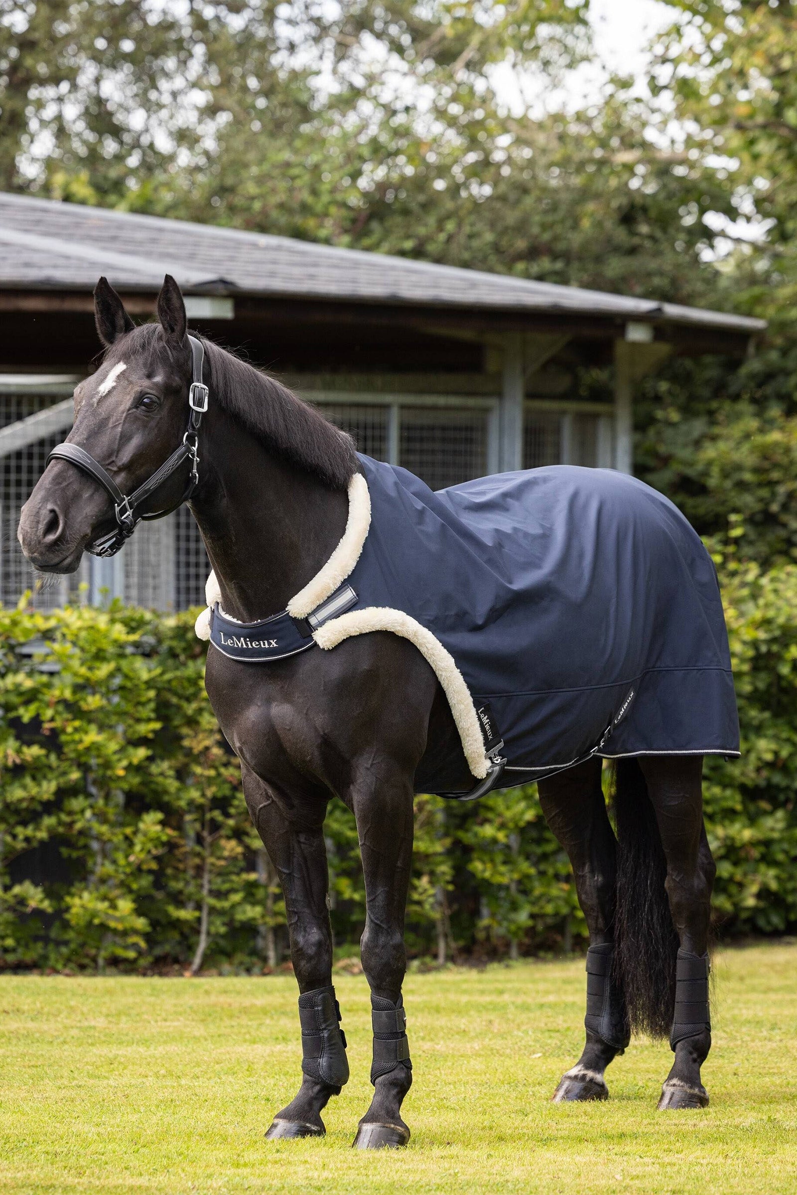 LeMieux Ledtäcke Hästtäcken