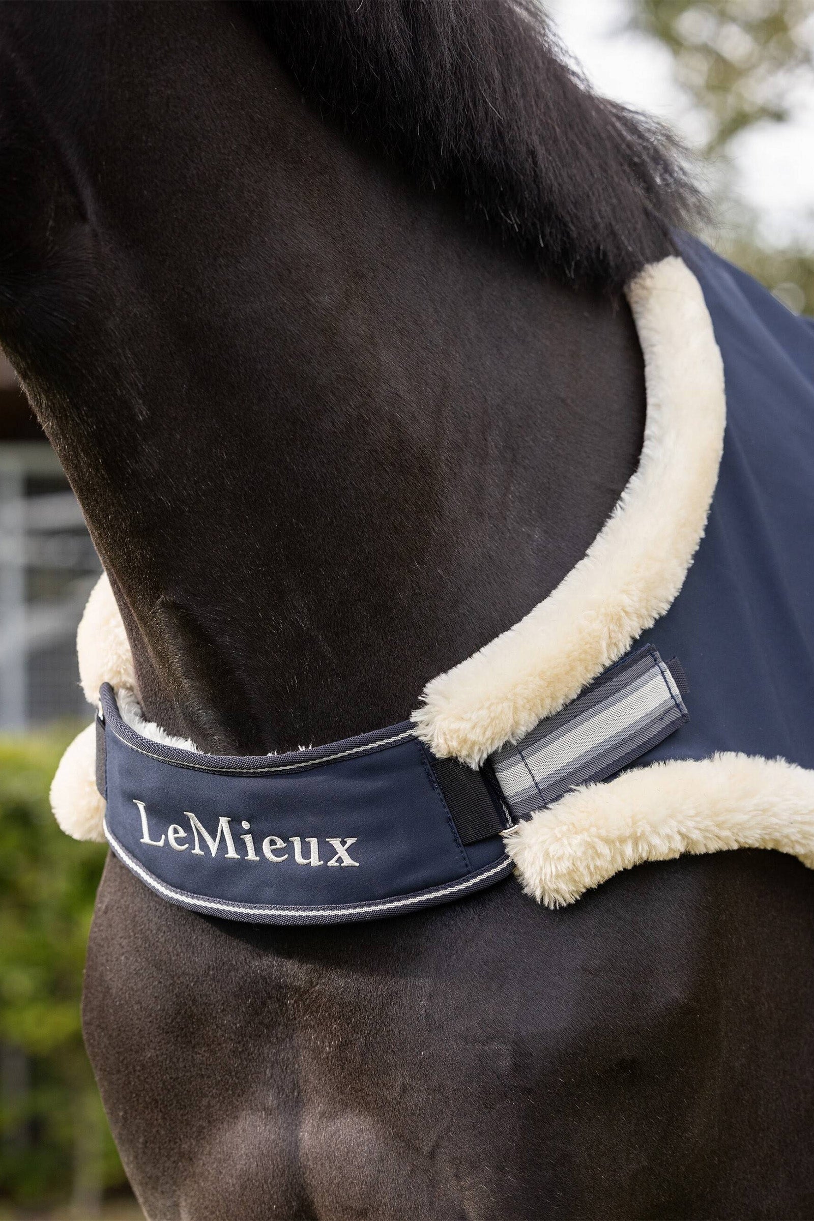 LeMieux Walker Rug Horse Rugs